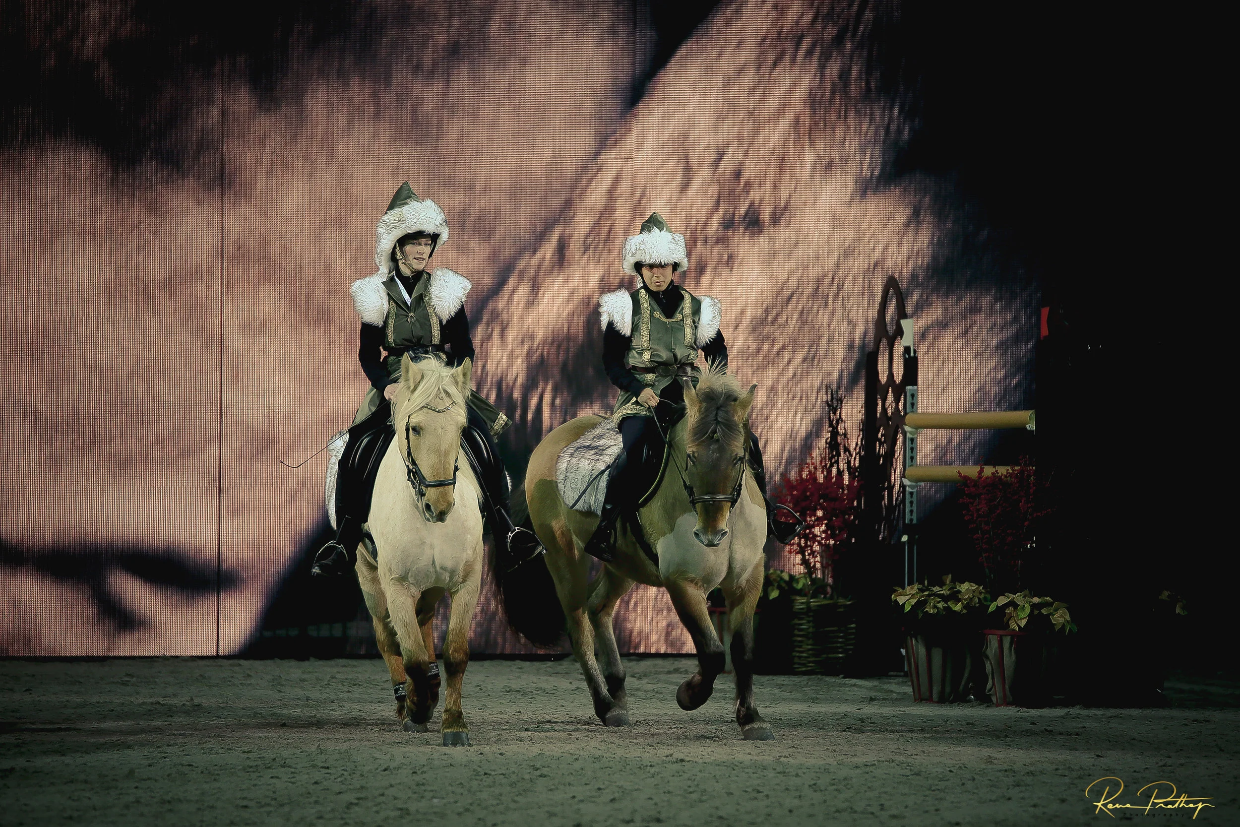 10.SWEDEN HORSE SHOW 2 DEC 17.jpg