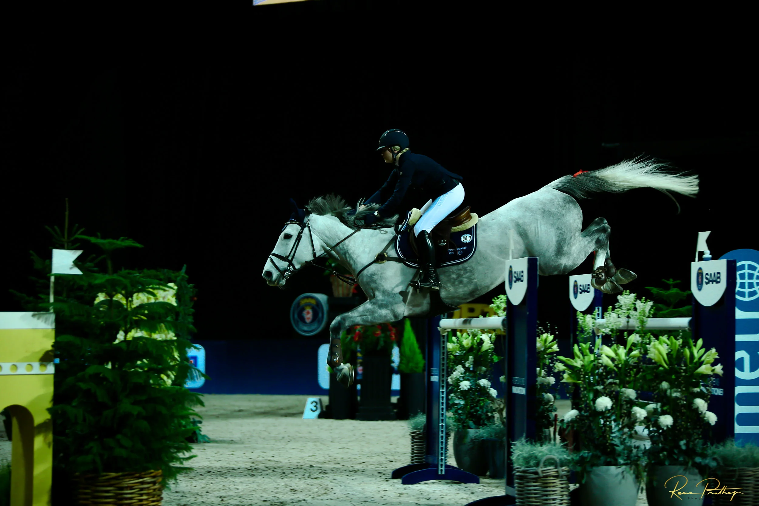 13.SWEDEN HORSE SHOW 2 DEC 17.jpg