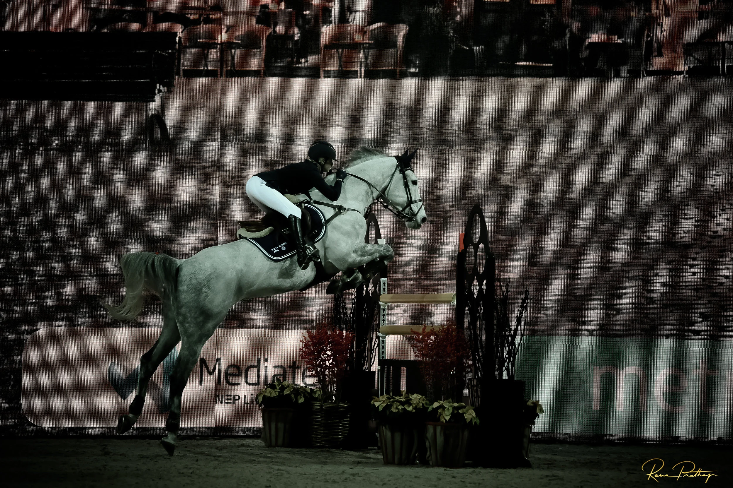 14.SWEDEN HORSE SHOW 2 DEC 17.jpg