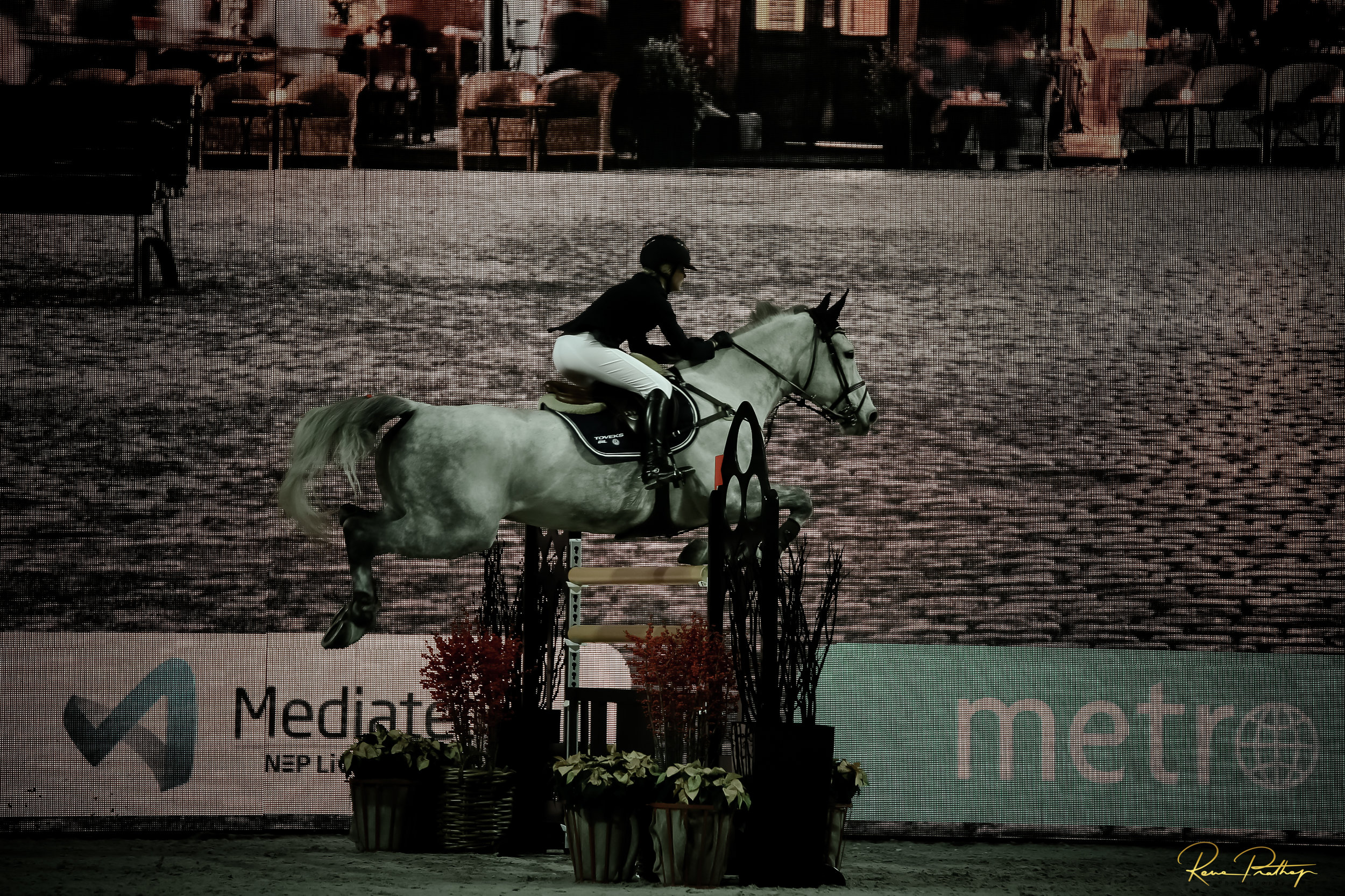 15.SWEDEN HORSE SHOW 2 DEC 17.jpg