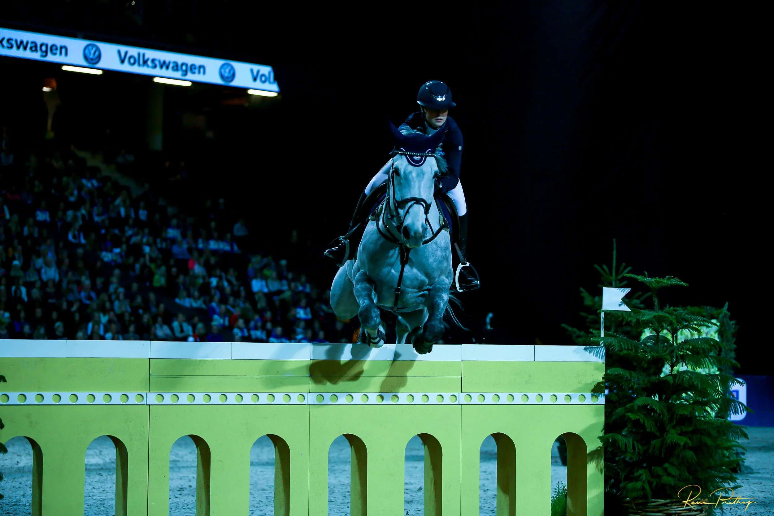 16.SWEDEN HORSE SHOW 2 DEC 17.jpg