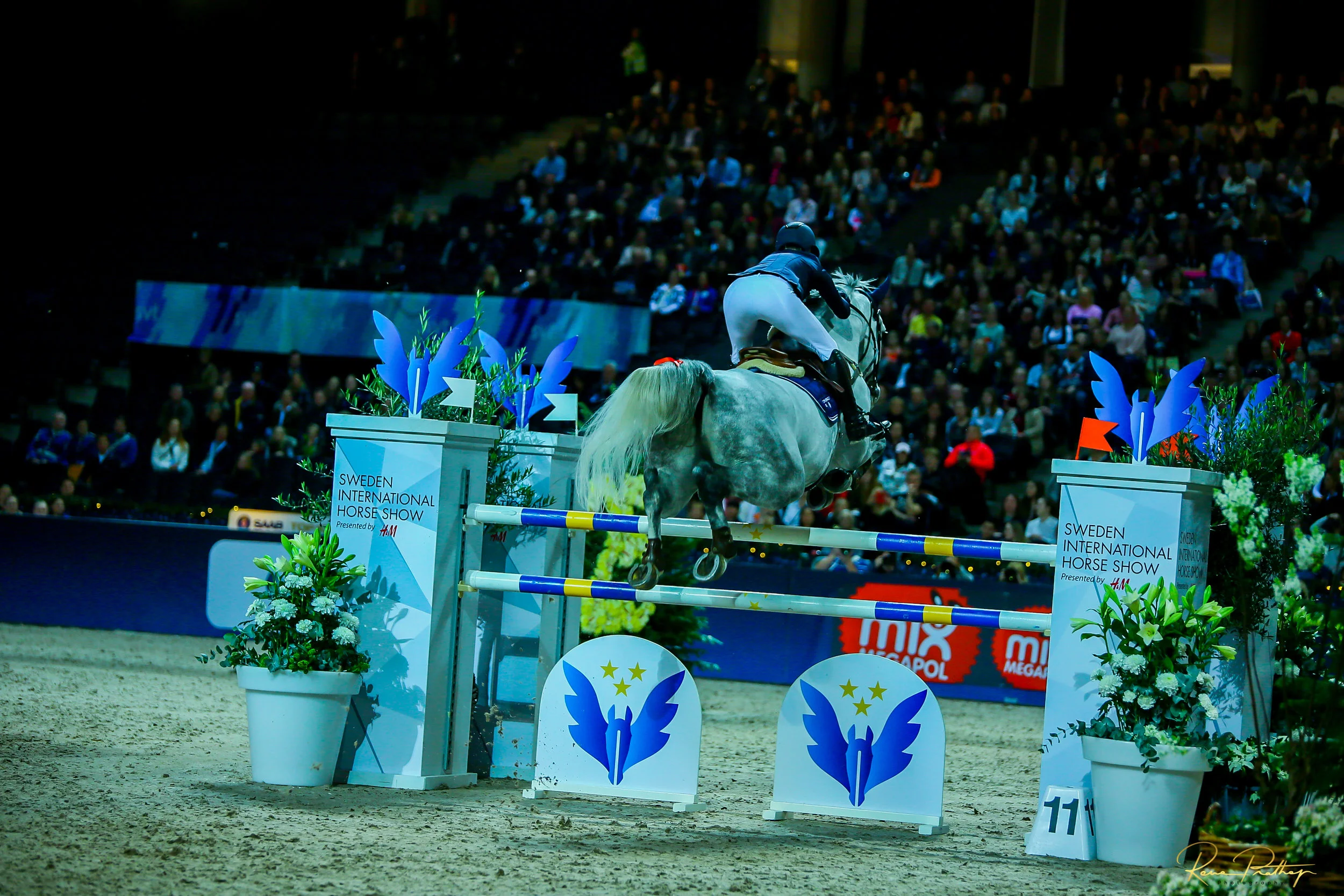 19.SWEDEN HORSE SHOW 2 DEC 17.jpg