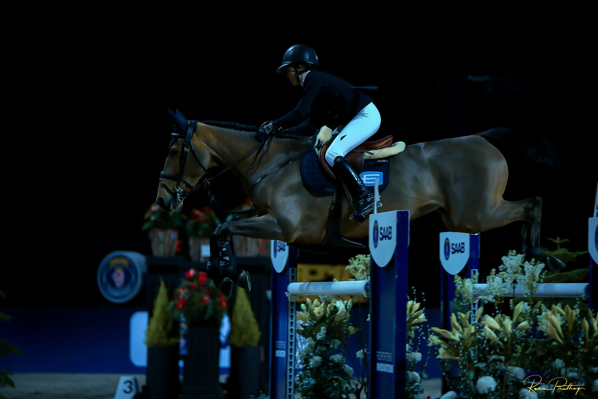 20.SWEDEN HORSE SHOW 2 DEC 17.jpg
