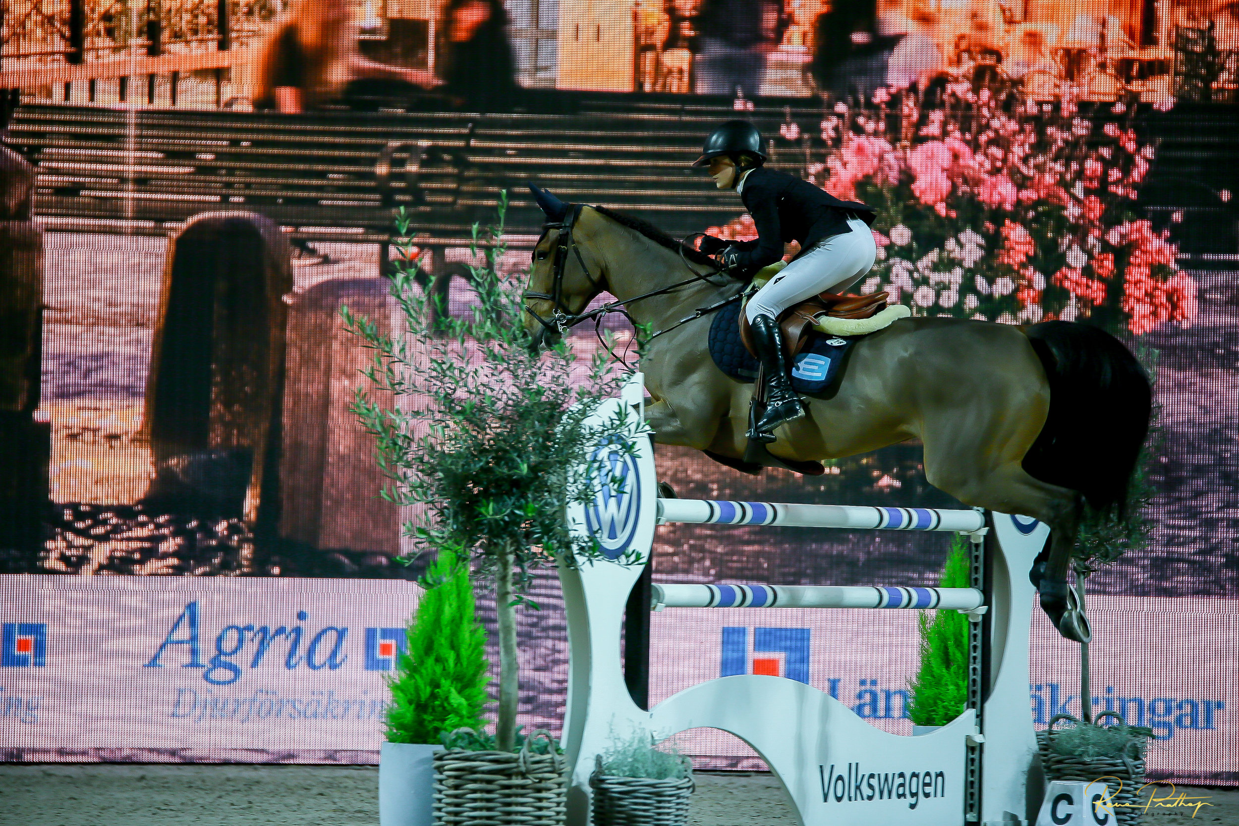 22.SWEDEN HORSE SHOW 2 DEC 17.jpg