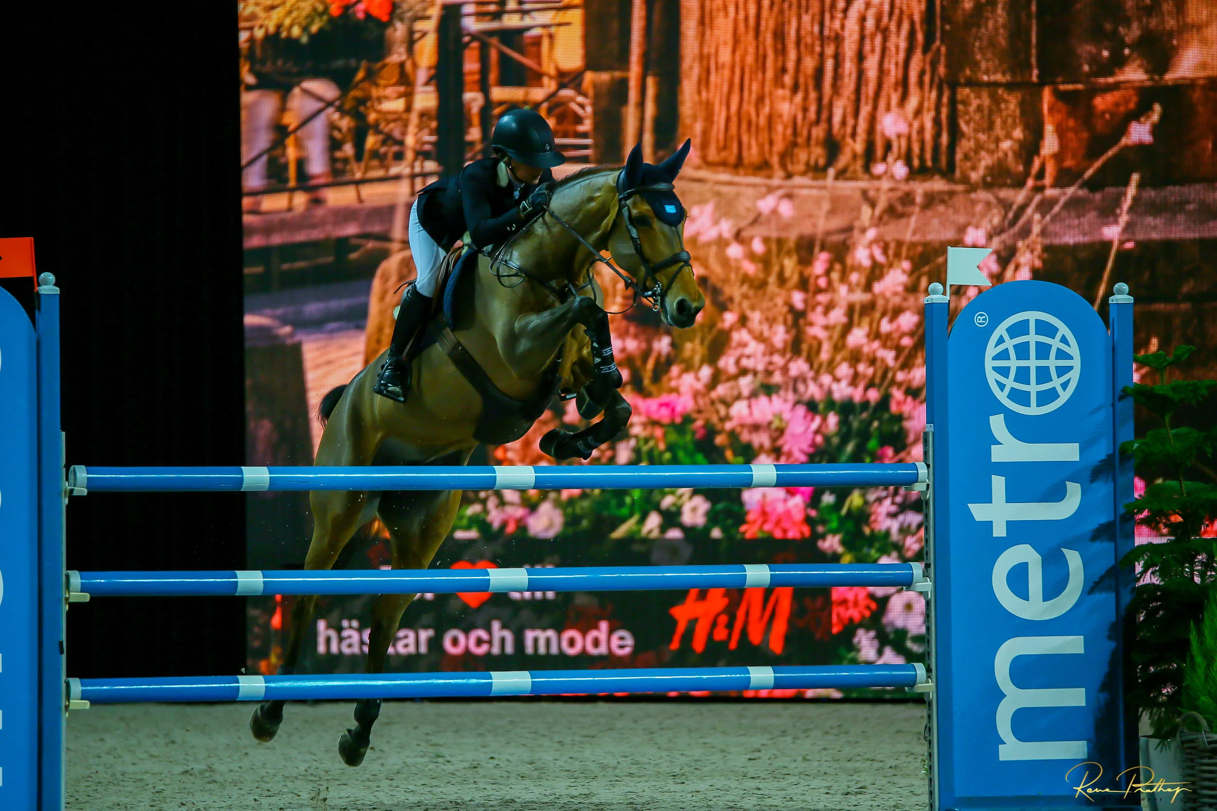 24.SWEDEN HORSE SHOW 2 DEC 17.jpg