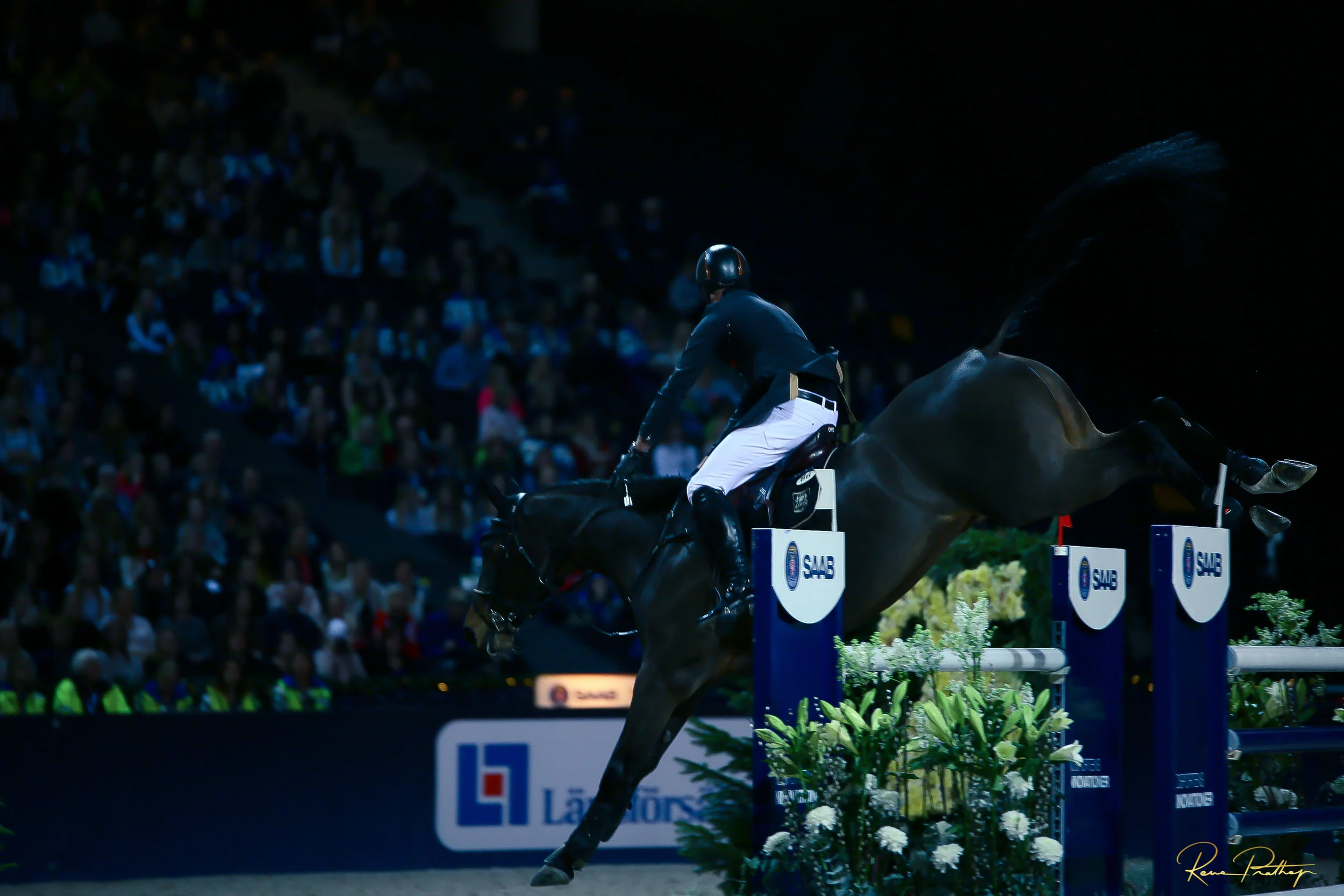29.SWEDEN HORSE SHOW 2 DEC 17.jpg