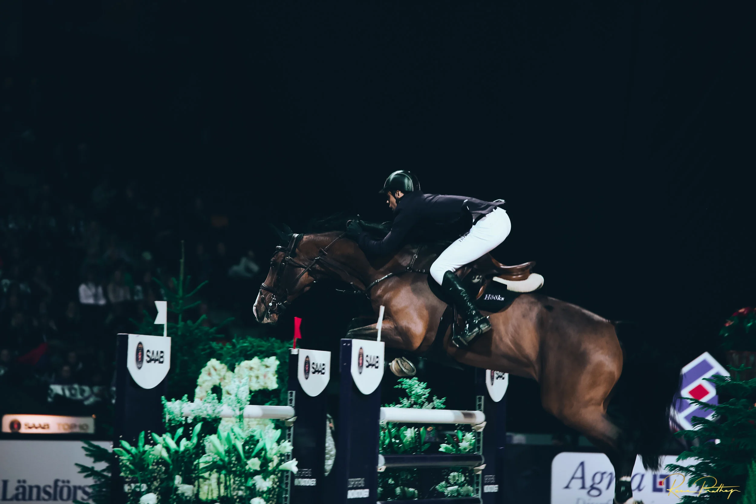 33.SWEDEN HORSE SHOW 2 DEC 17.jpg