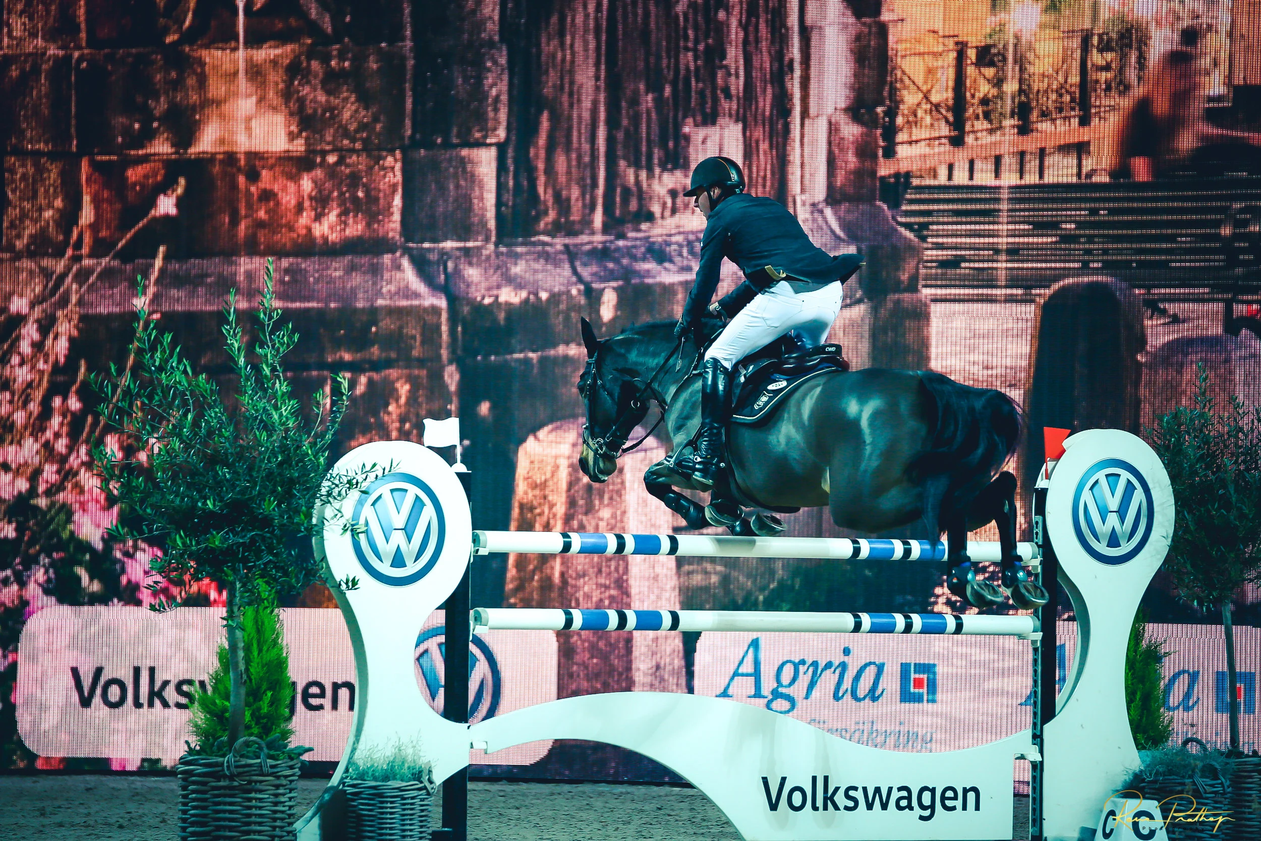 30.SWEDEN HORSE SHOW 2 DEC 17.jpg