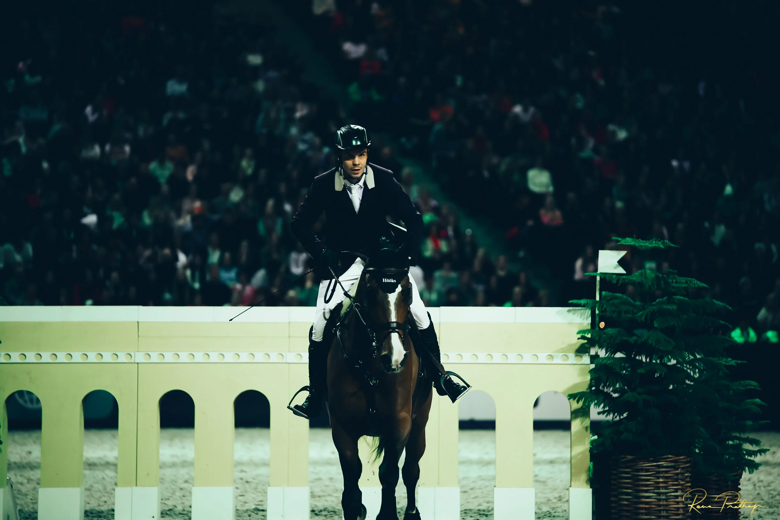 34.SWEDEN HORSE SHOW 2 DEC 17.jpg