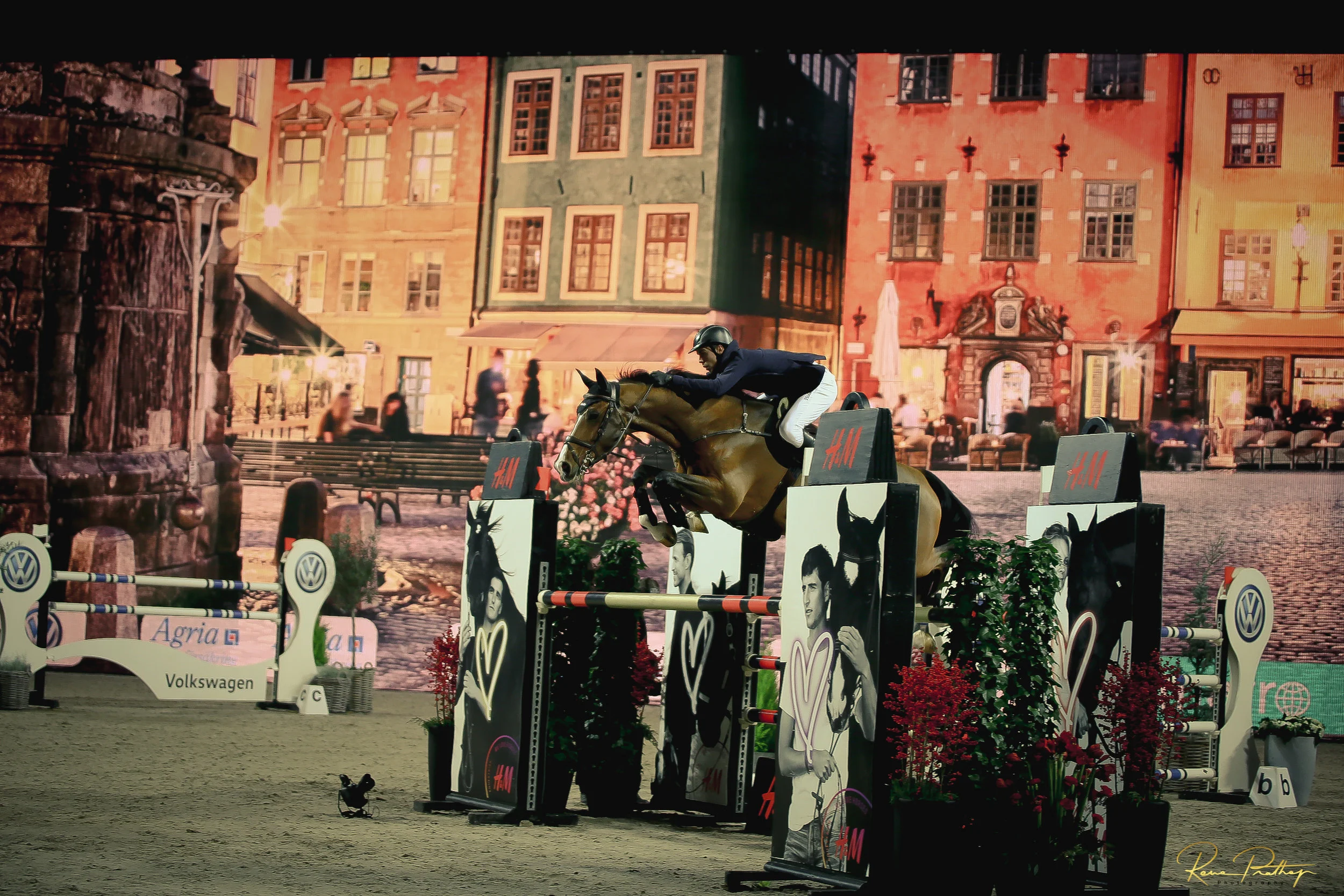 35.SWEDEN HORSE SHOW 2 DEC 17.jpg