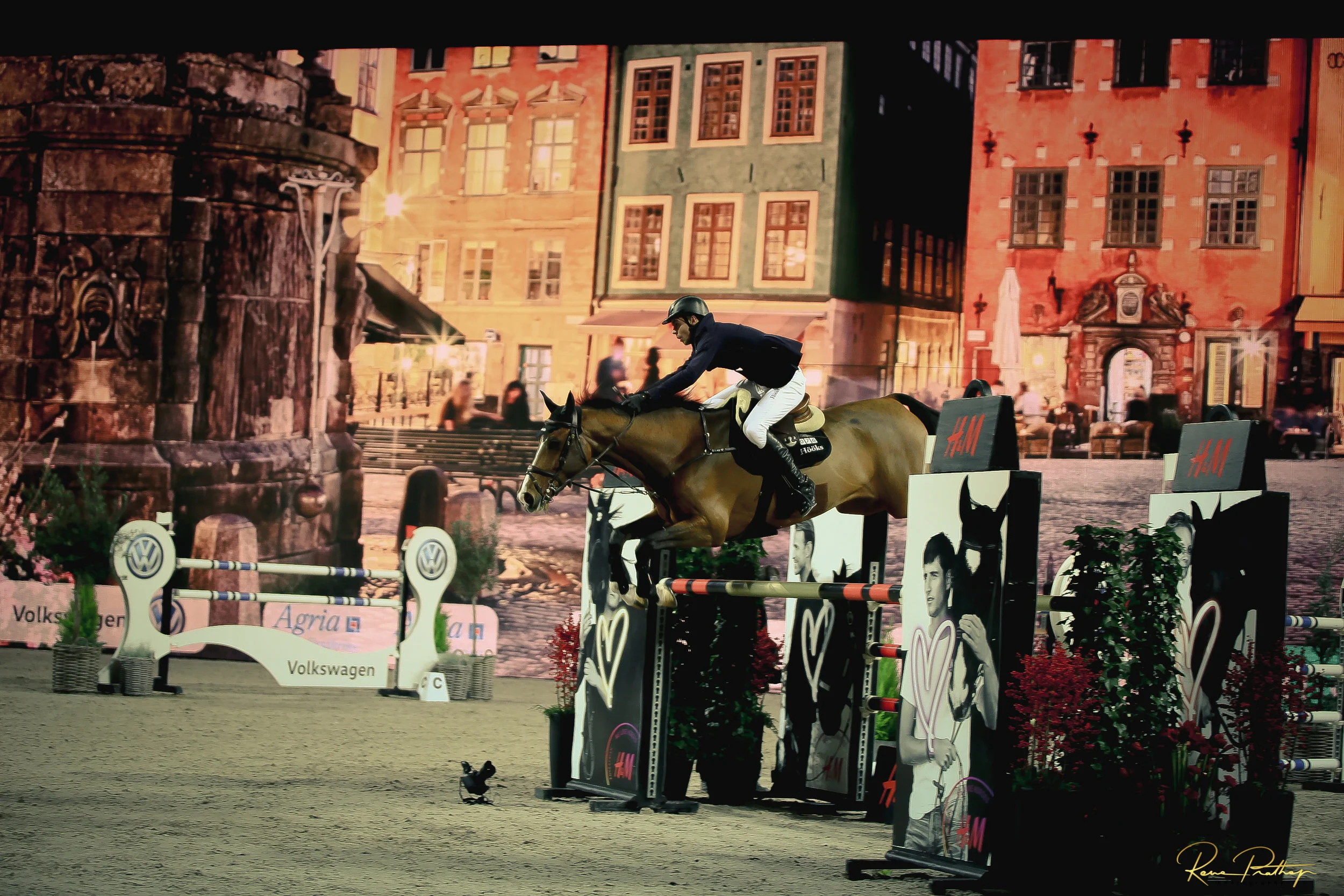36.SWEDEN HORSE SHOW 2 DEC 17.jpg