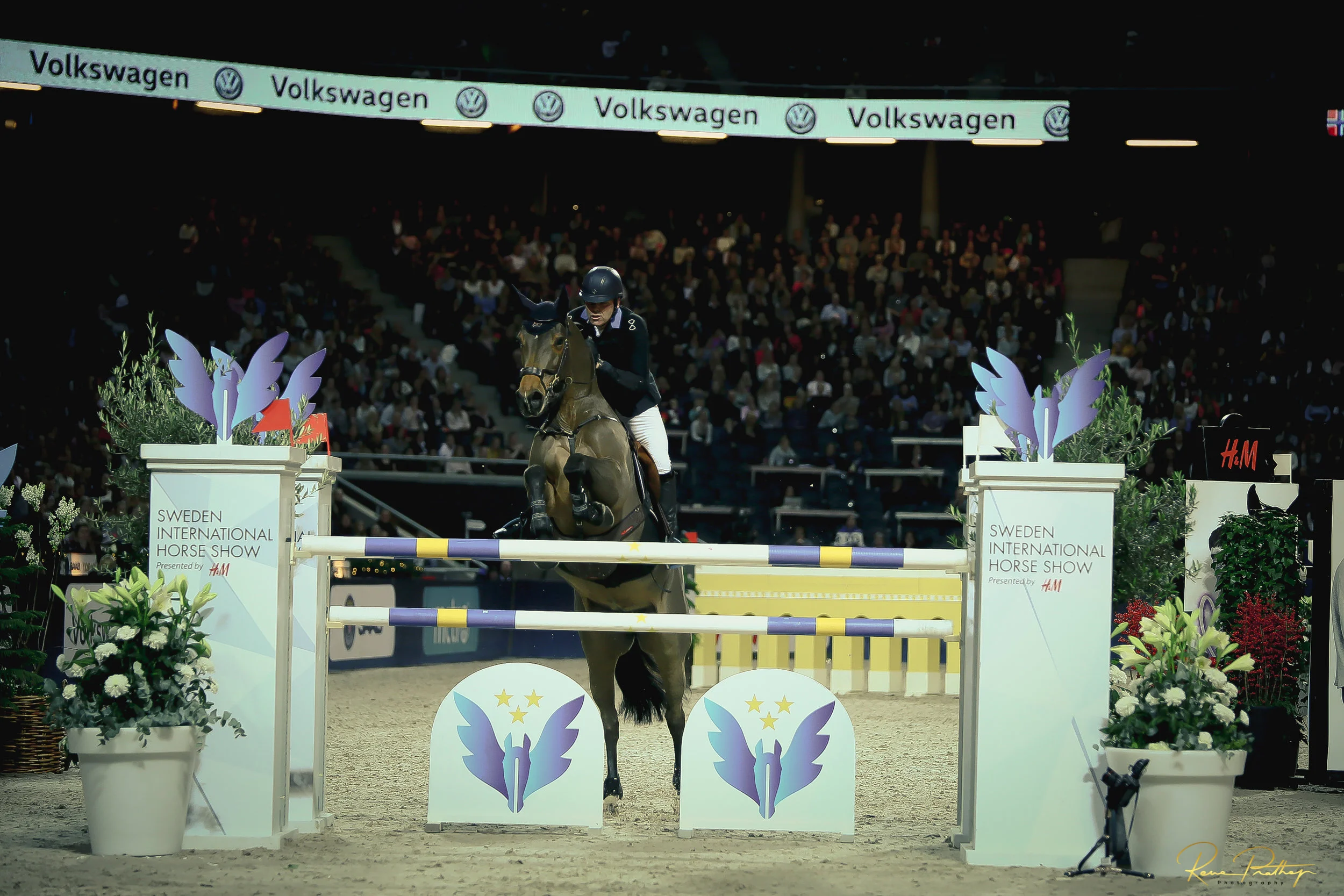 39.SWEDEN HORSE SHOW 2 DEC 17.jpg