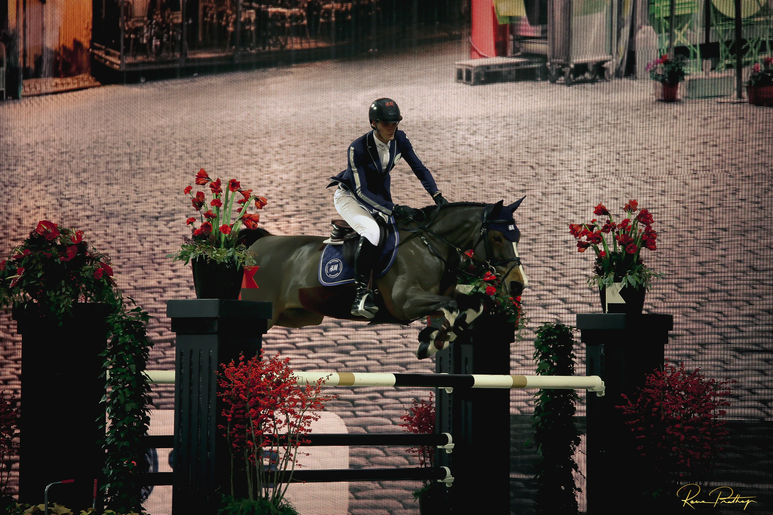 41.SWEDEN HORSE SHOW 2 DEC 17.jpg