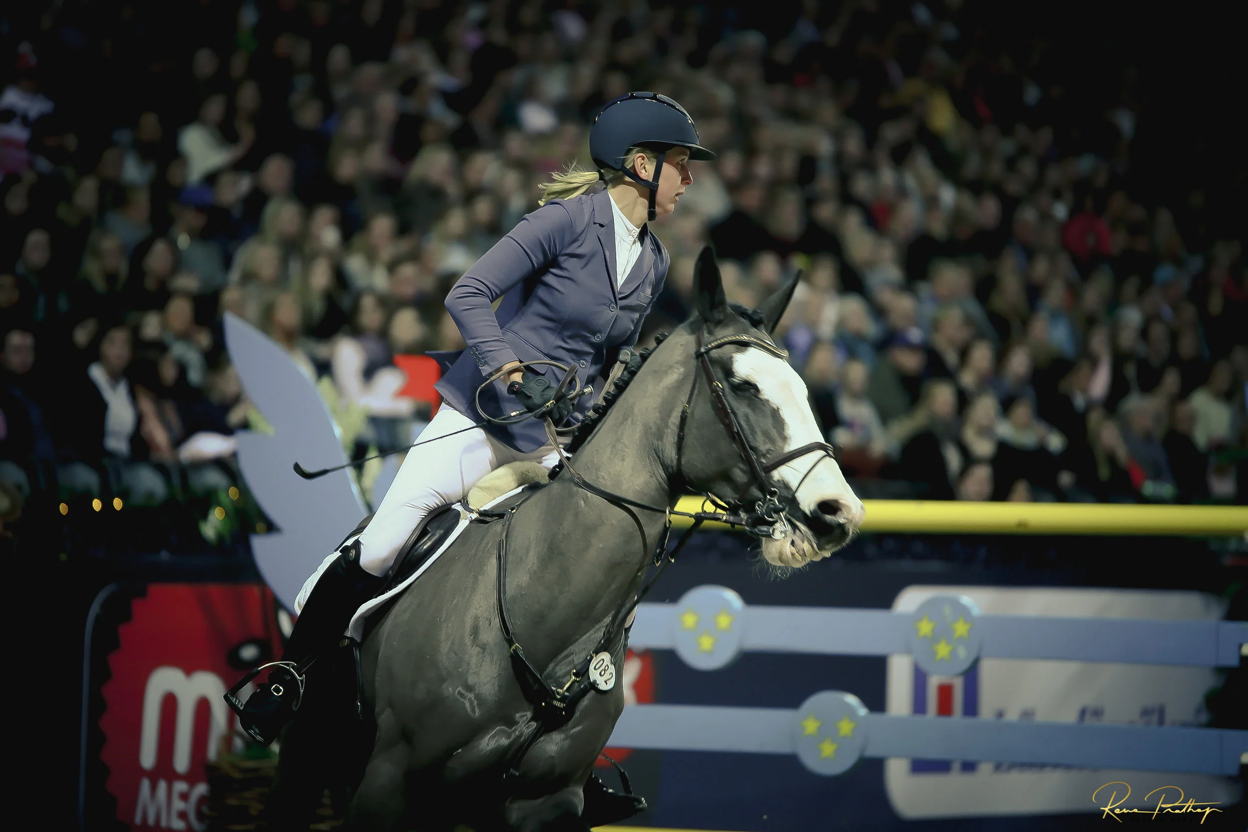 44.SWEDEN HORSE SHOW 2 DEC 17.jpg