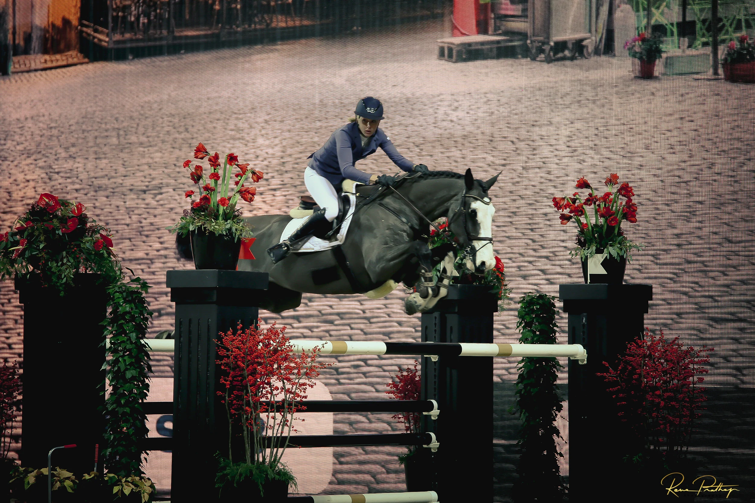 43.SWEDEN HORSE SHOW 2 DEC 17.jpg