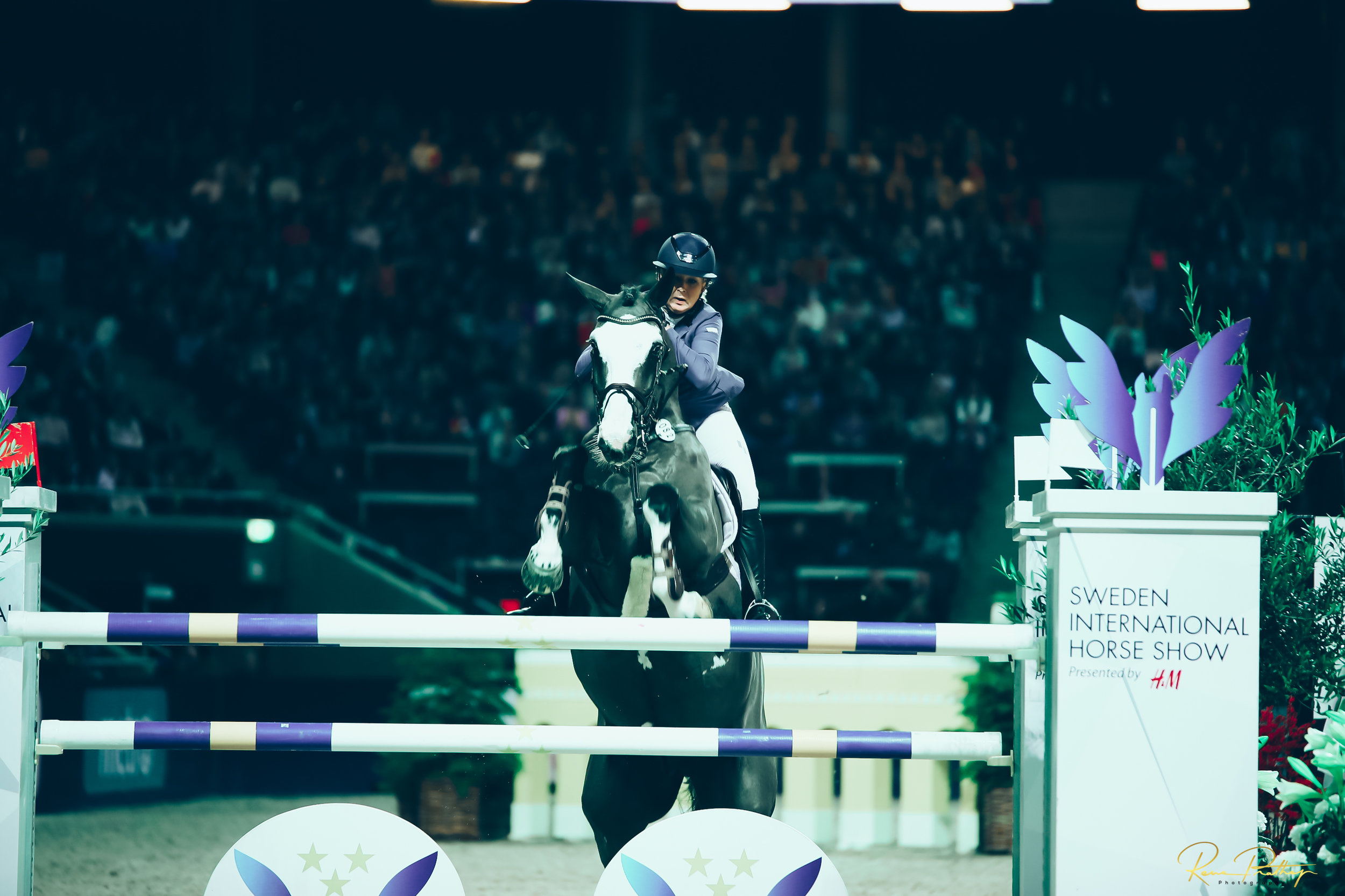 45.SWEDEN HORSE SHOW 2 DEC 17.jpg