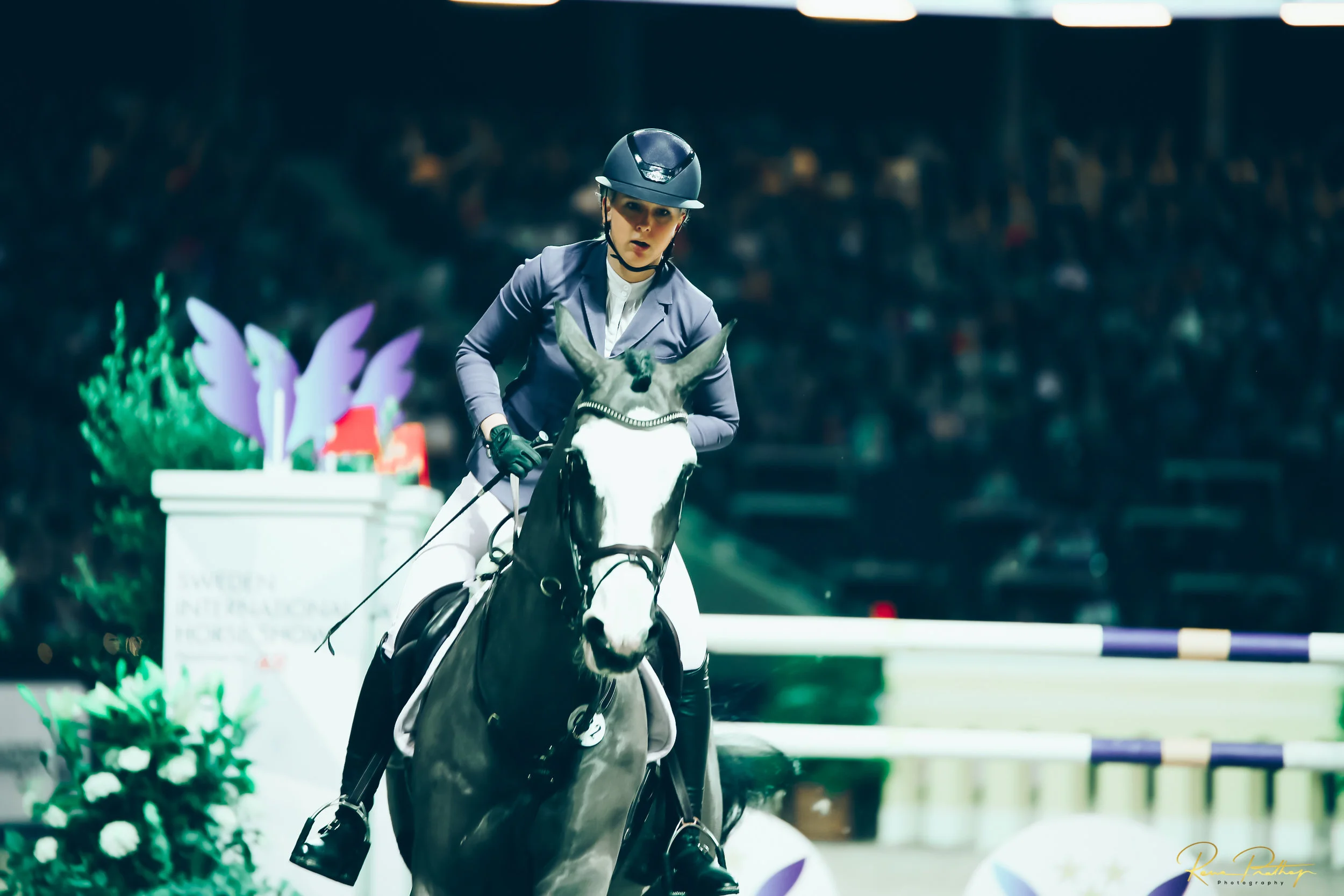 47.SWEDEN HORSE SHOW 2 DEC 17.jpg