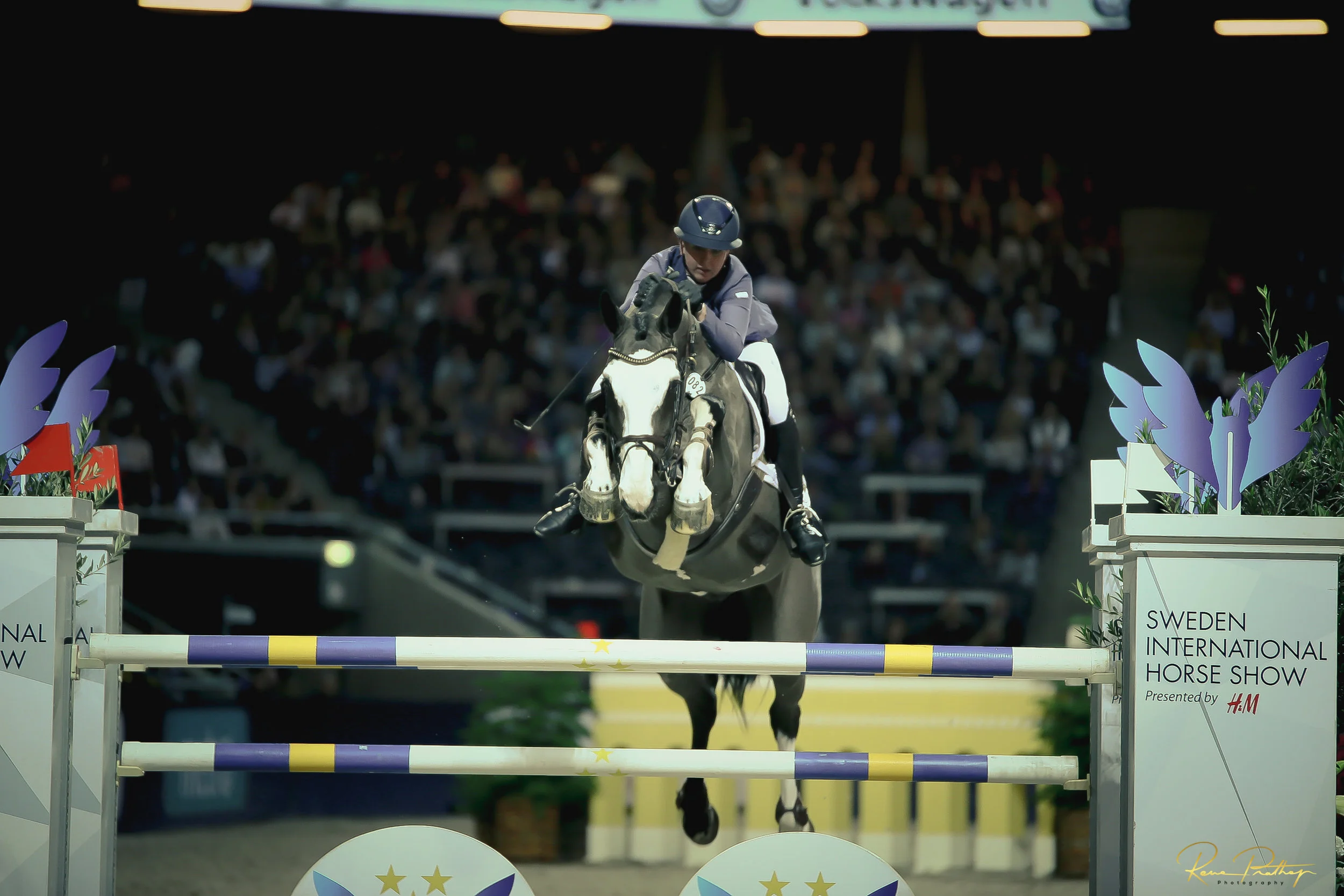 46.SWEDEN HORSE SHOW 2 DEC 17.jpg