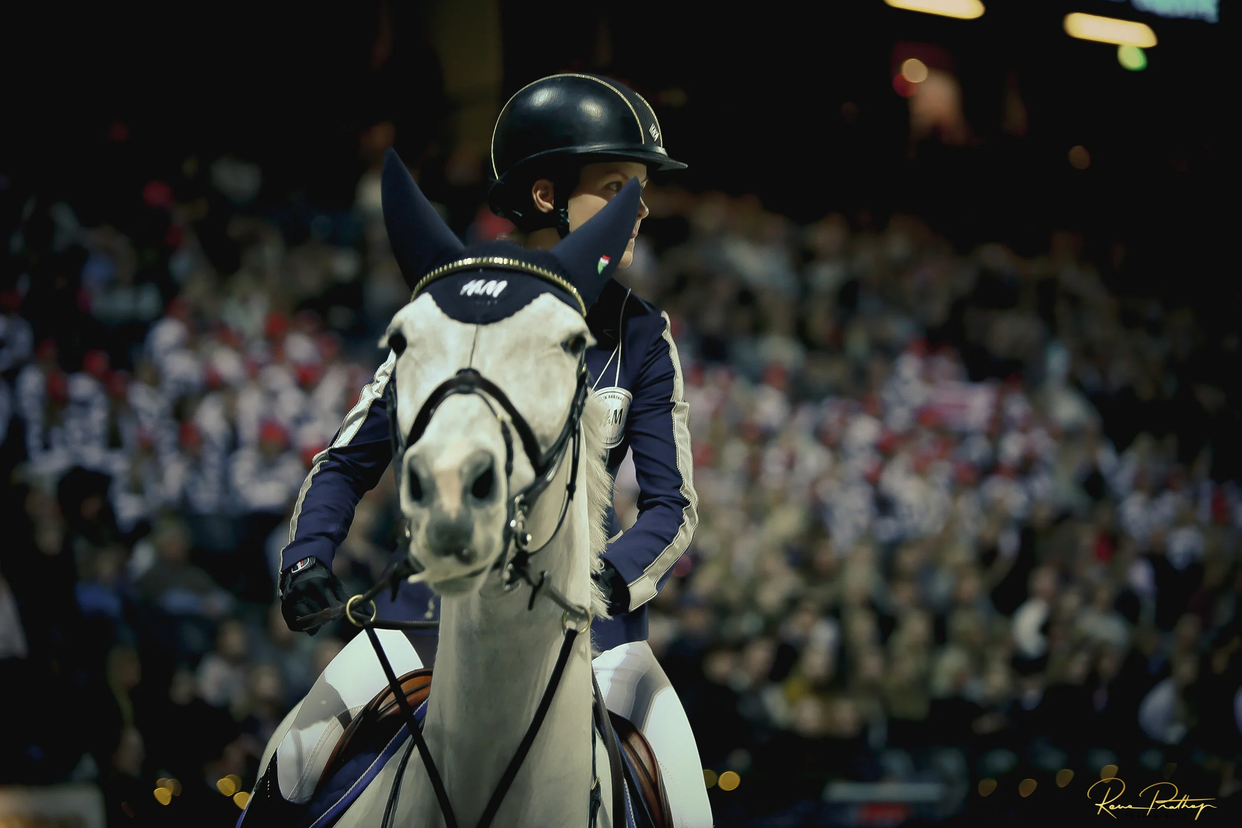 49.SWEDEN HORSE SHOW 2 DEC 17.jpg