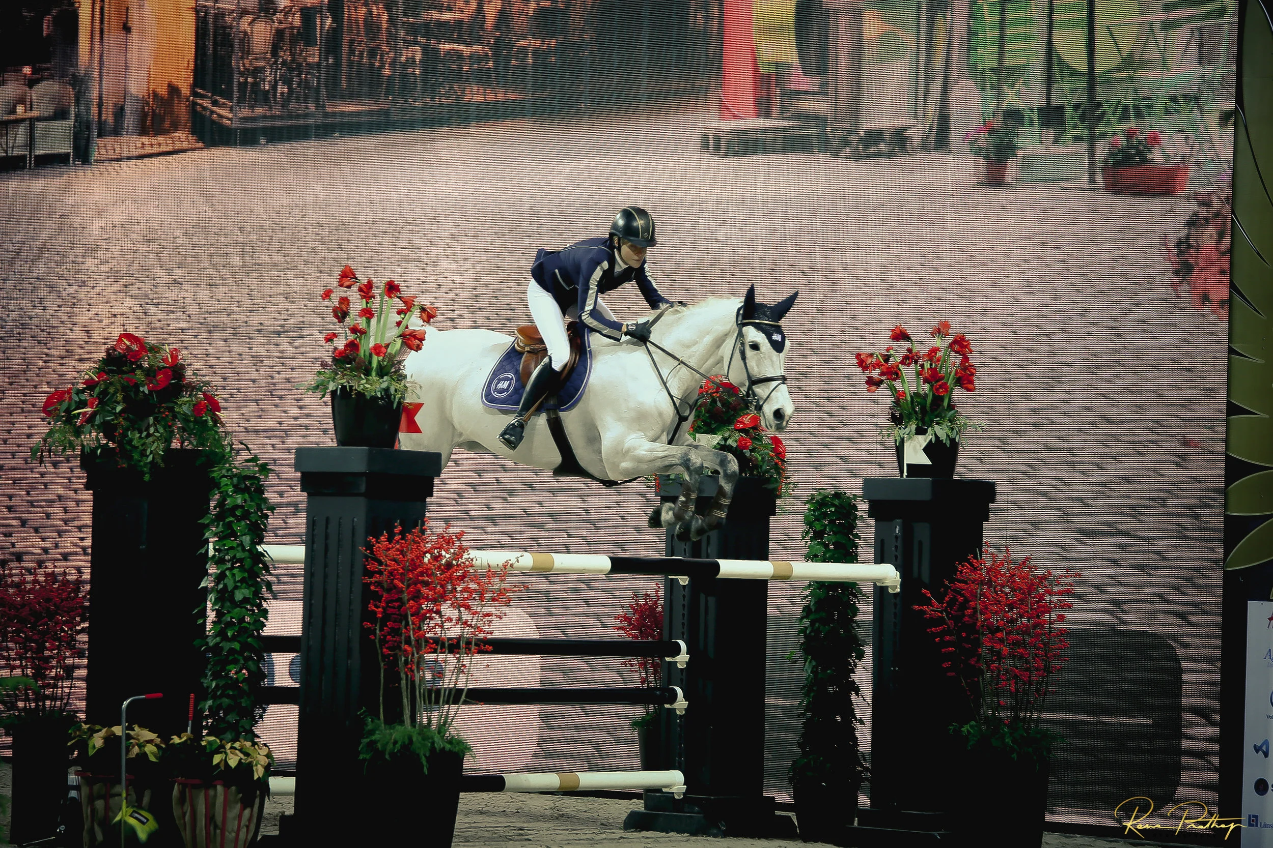 51.SWEDEN HORSE SHOW 2 DEC 17.jpg