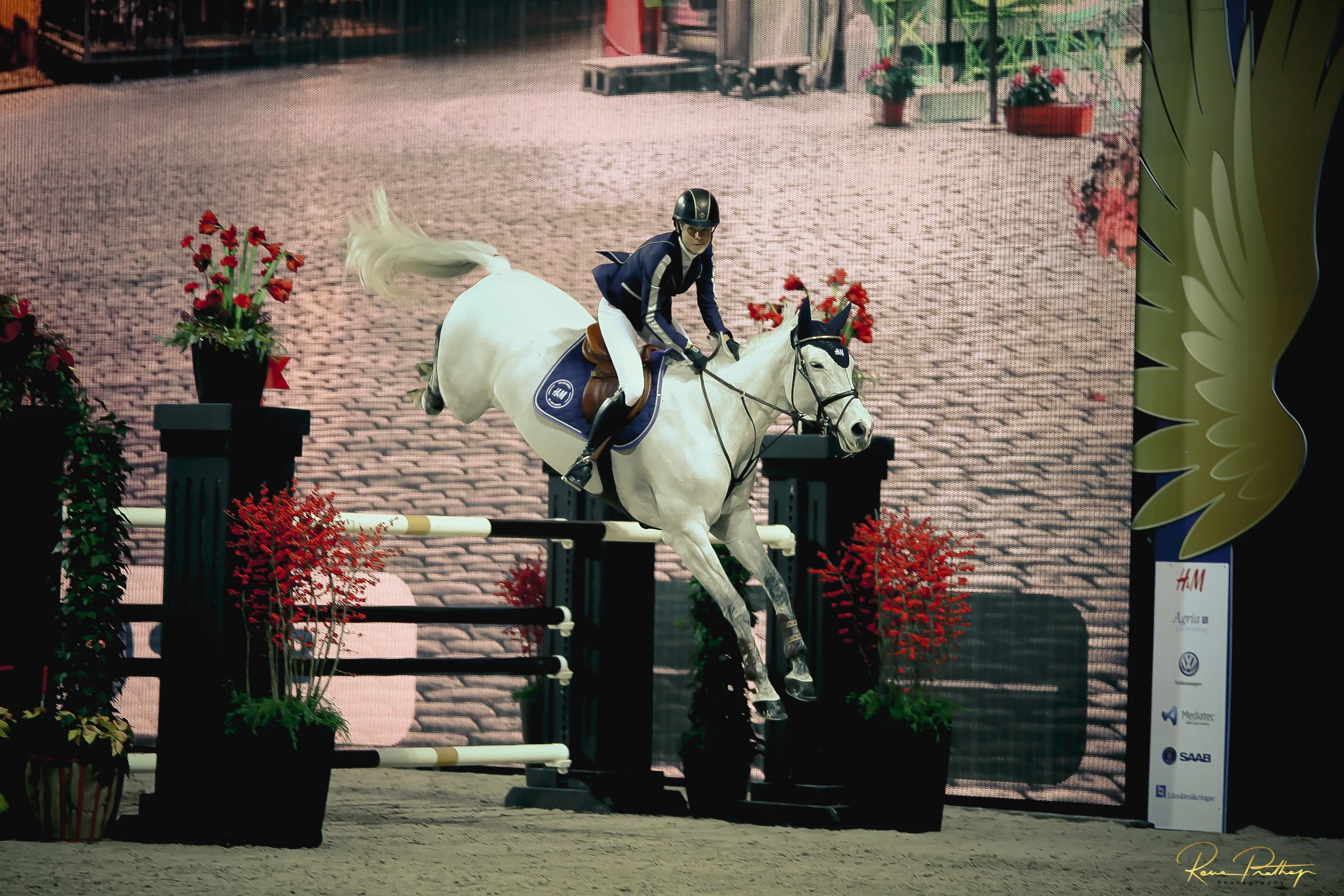 52.SWEDEN HORSE SHOW 2 DEC 17.jpg