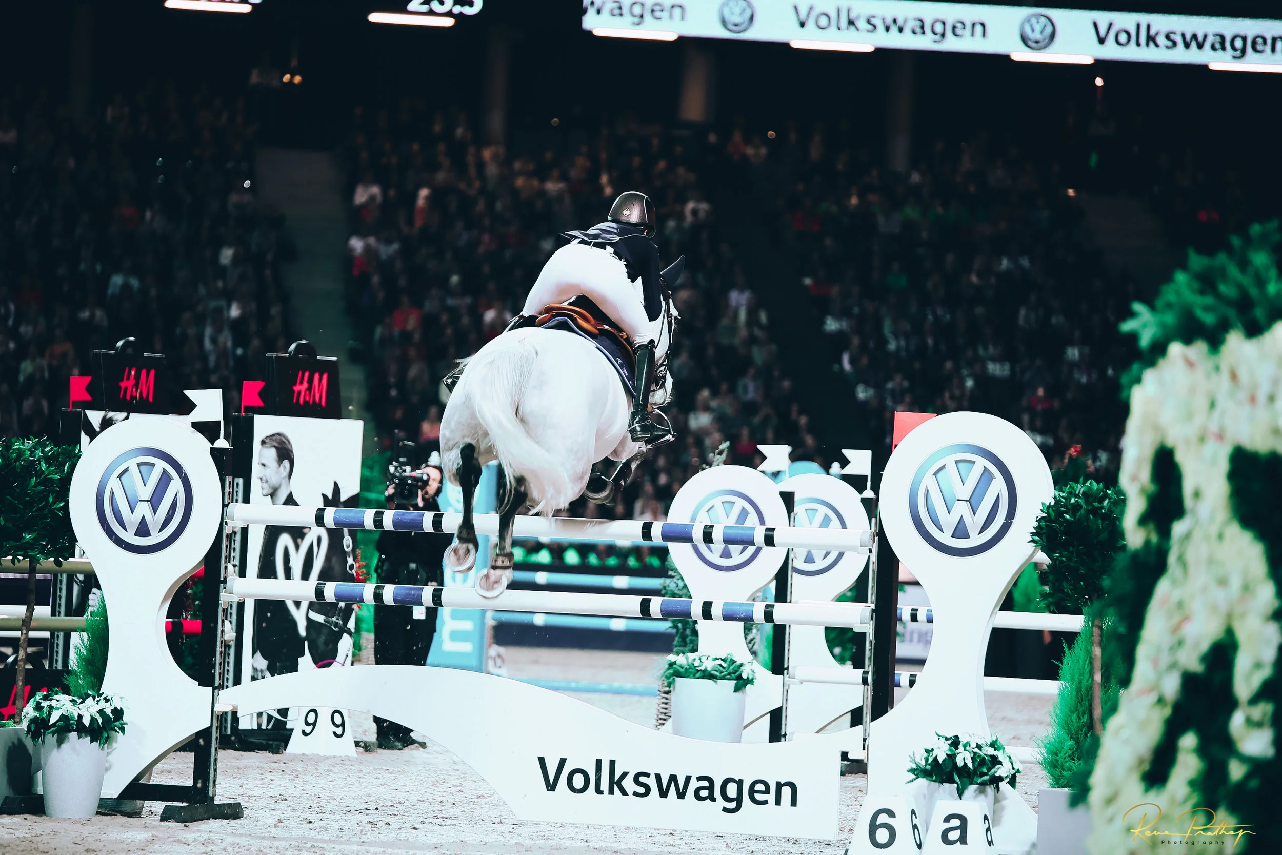 54.SWEDEN HORSE SHOW 2 DEC 17.jpg