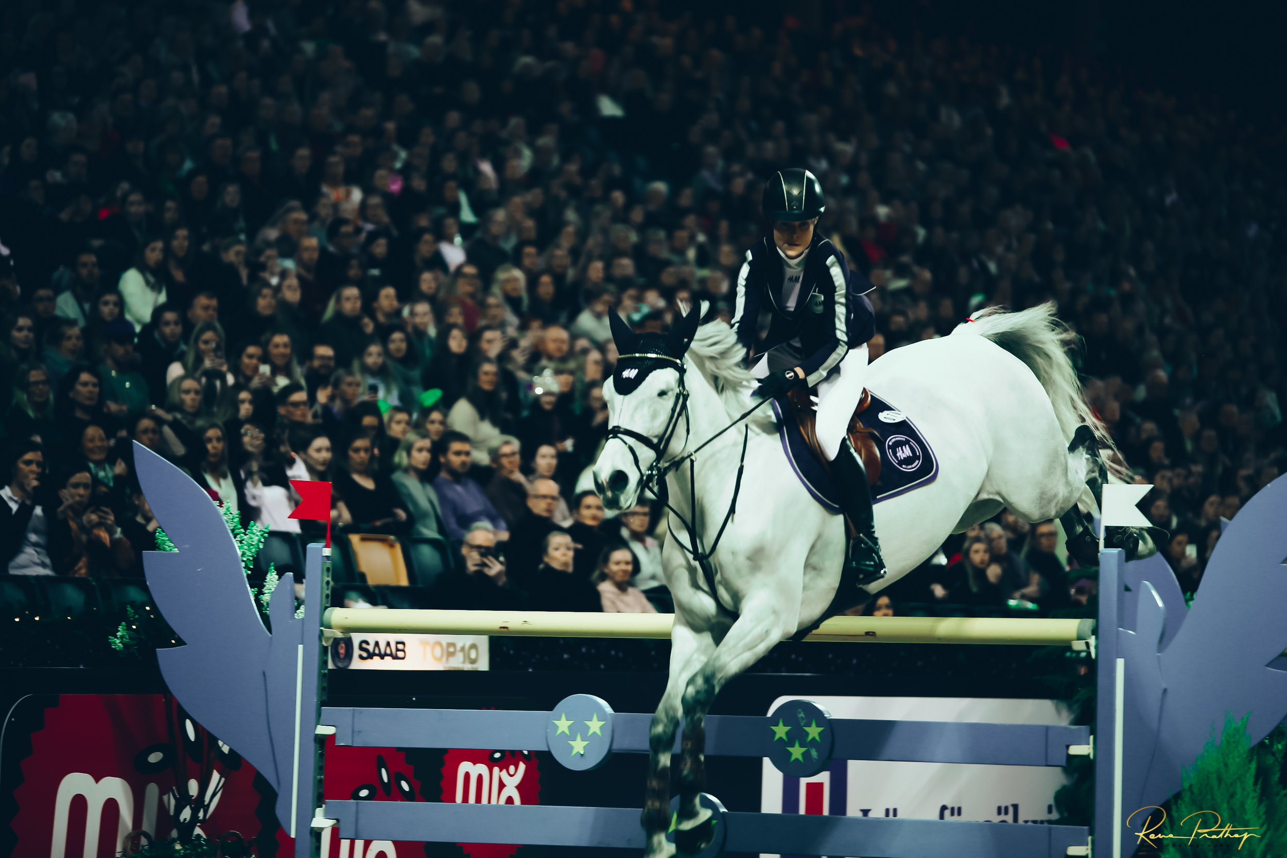 55.SWEDEN HORSE SHOW 2 DEC 17.jpg