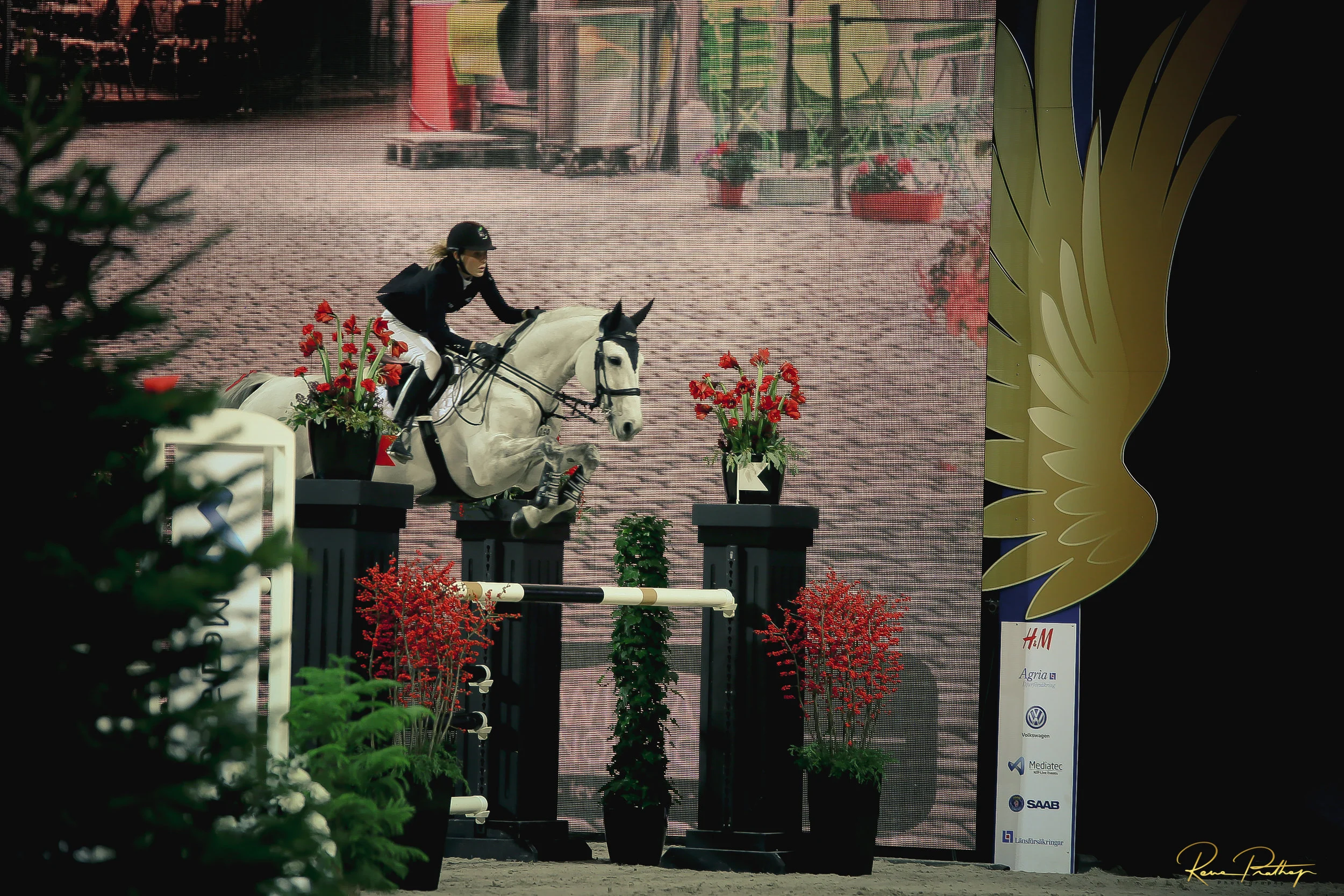 59.SWEDEN HORSE SHOW 2 DEC 17.jpg
