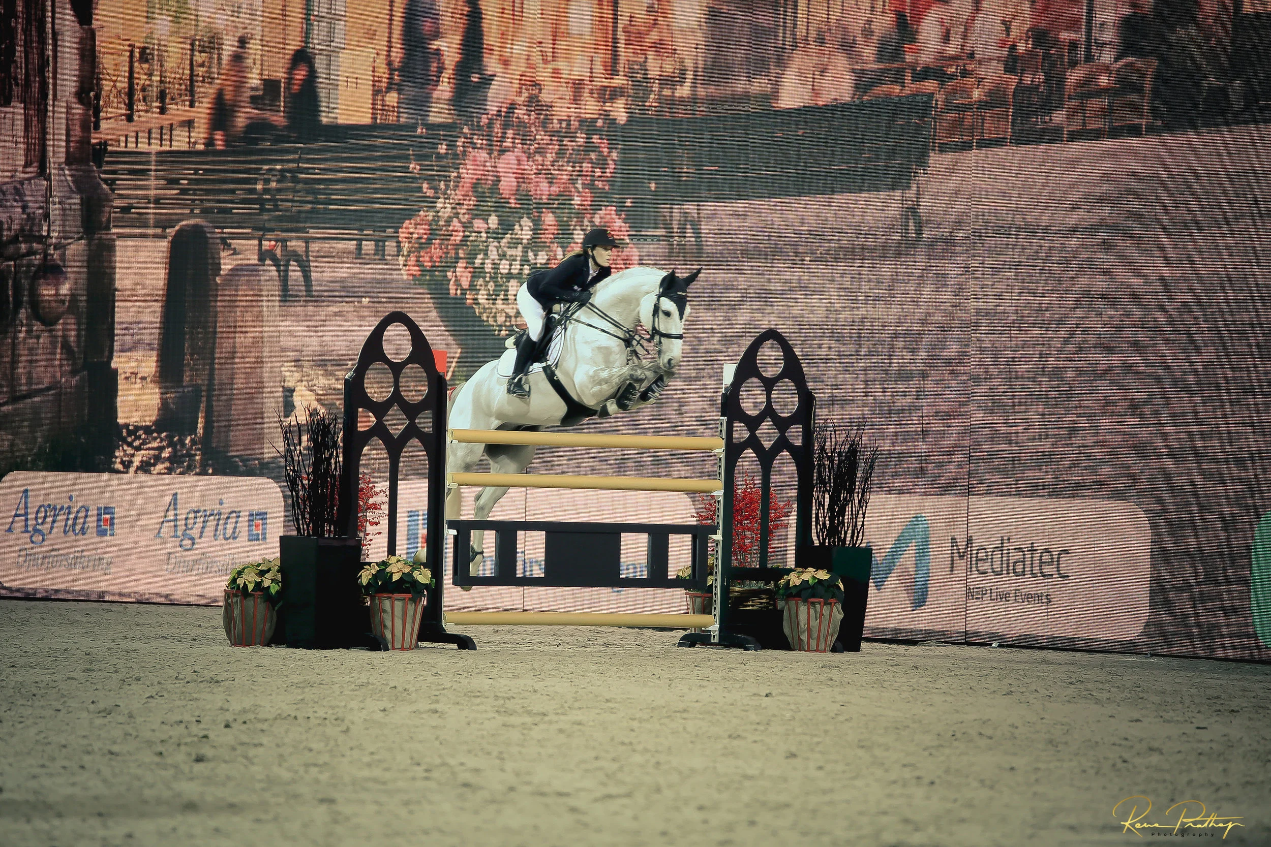 58.SWEDEN HORSE SHOW 2 DEC 17.jpg