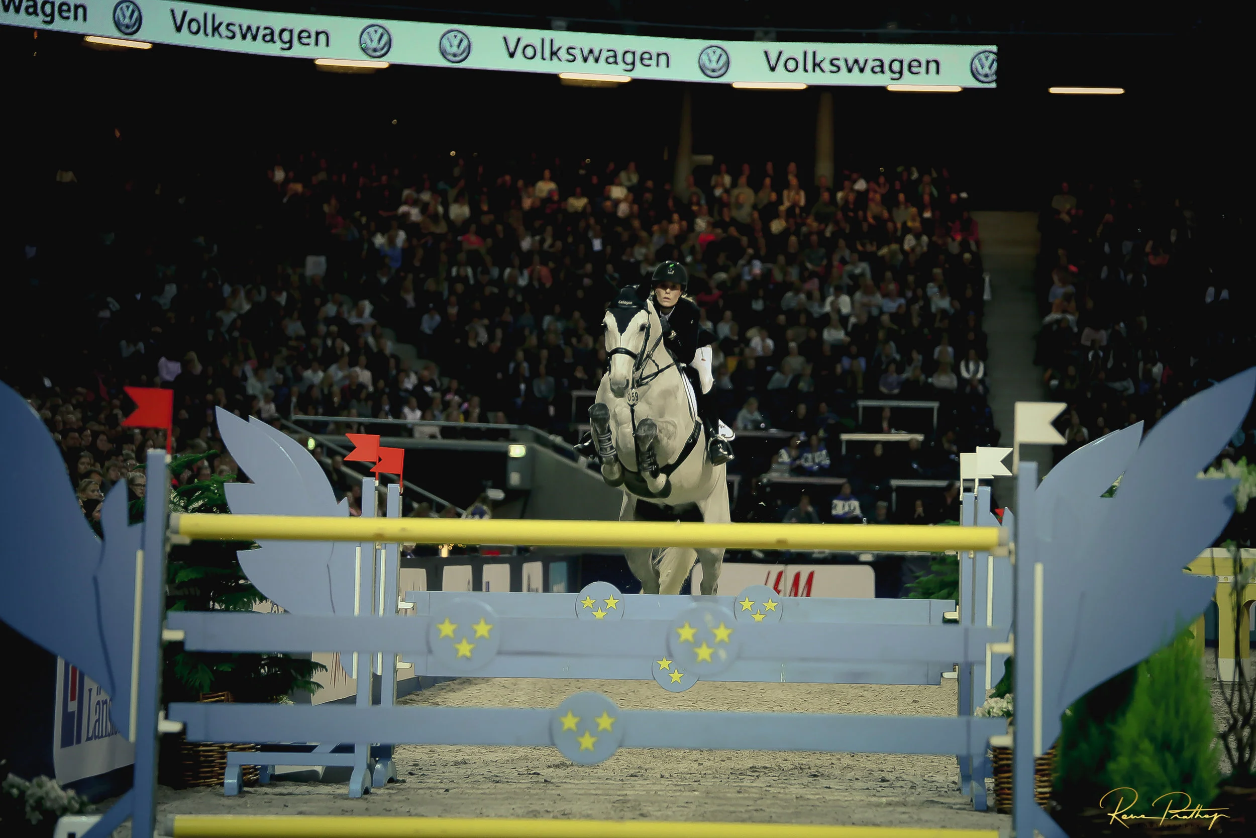 60.SWEDEN HORSE SHOW 2 DEC 17.jpg