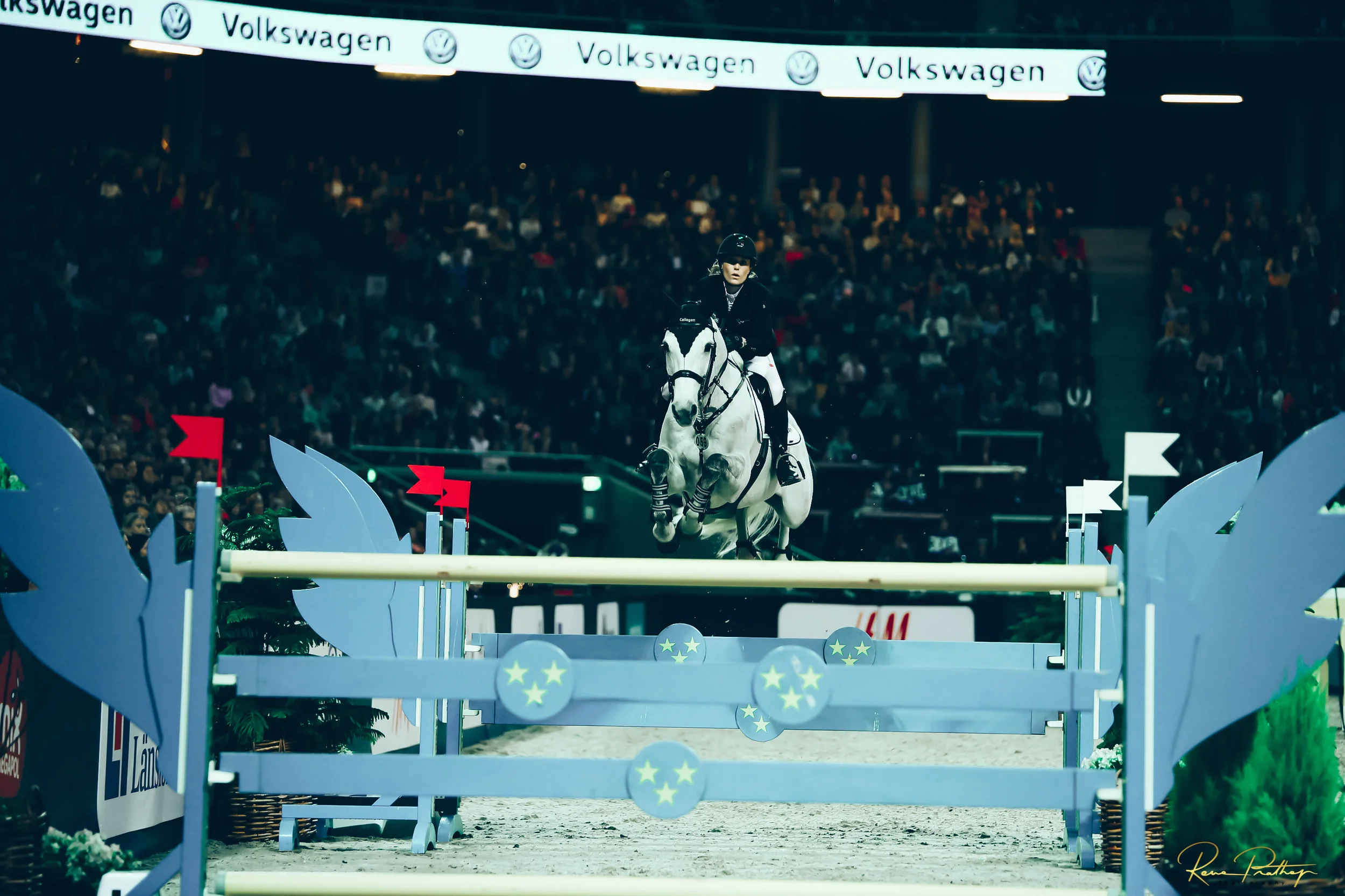 61.SWEDEN HORSE SHOW 2 DEC 17.jpg