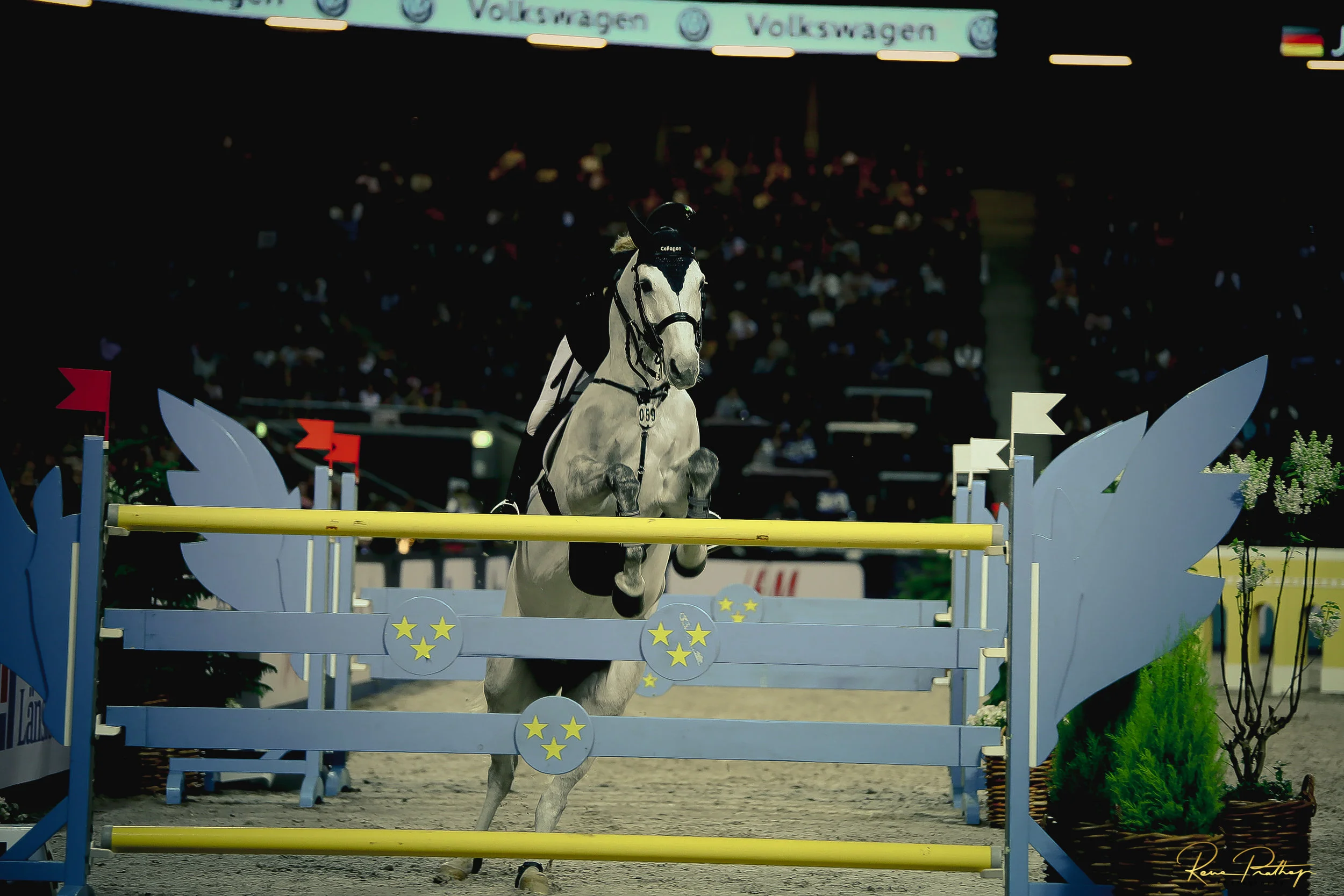 62.SWEDEN HORSE SHOW 2 DEC 17.jpg