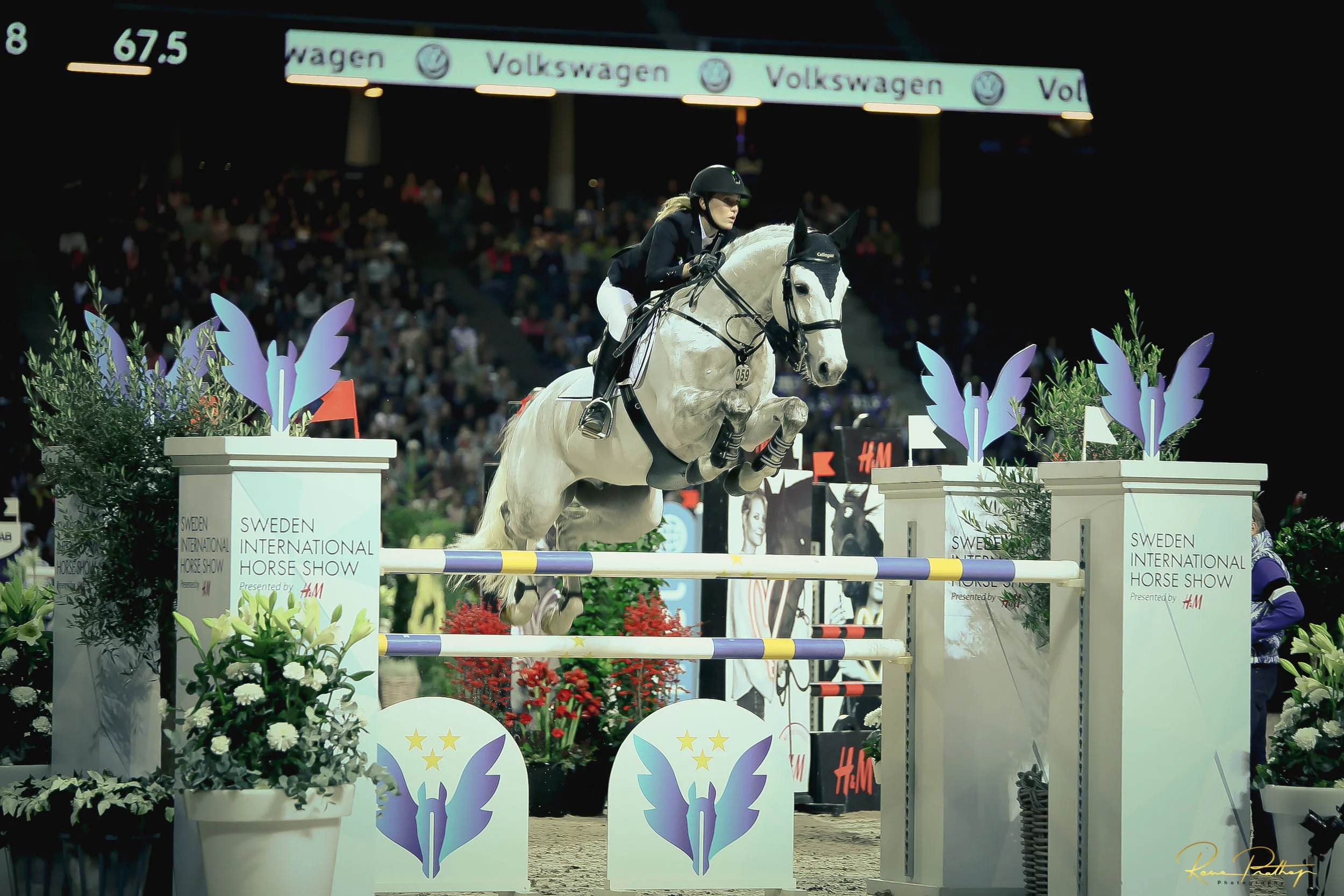 65.SWEDEN HORSE SHOW 2 DEC 17.jpg