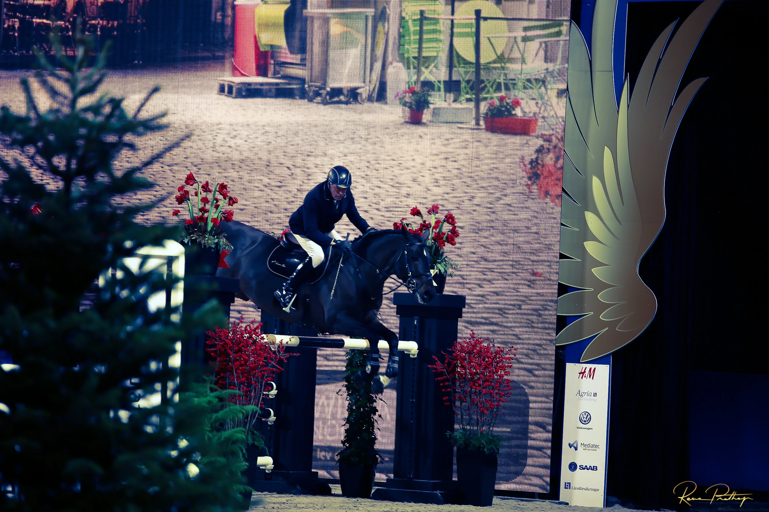 67.SWEDEN HORSE SHOW 2 DEC 17.jpg