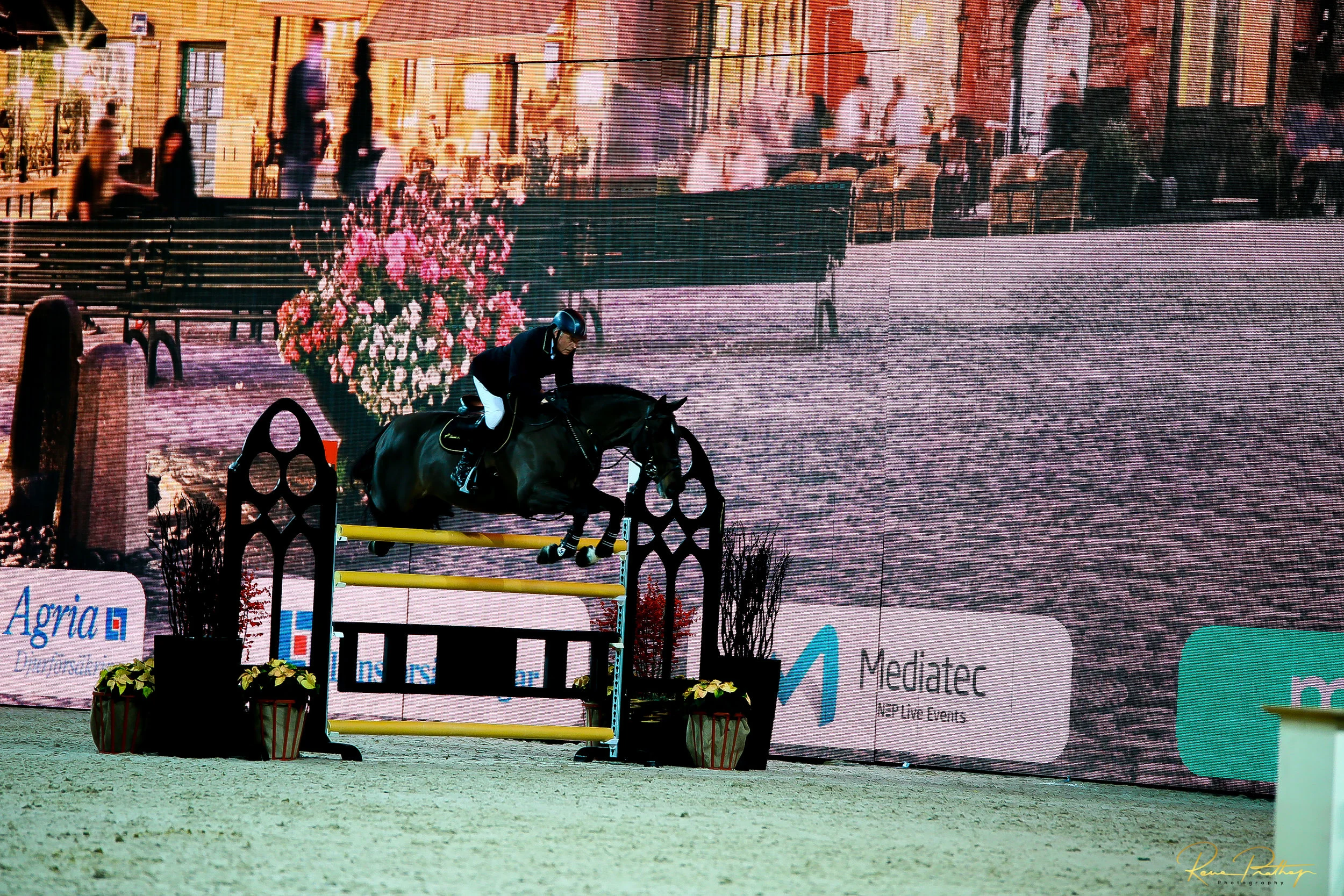 66.SWEDEN HORSE SHOW 2 DEC 17.jpg