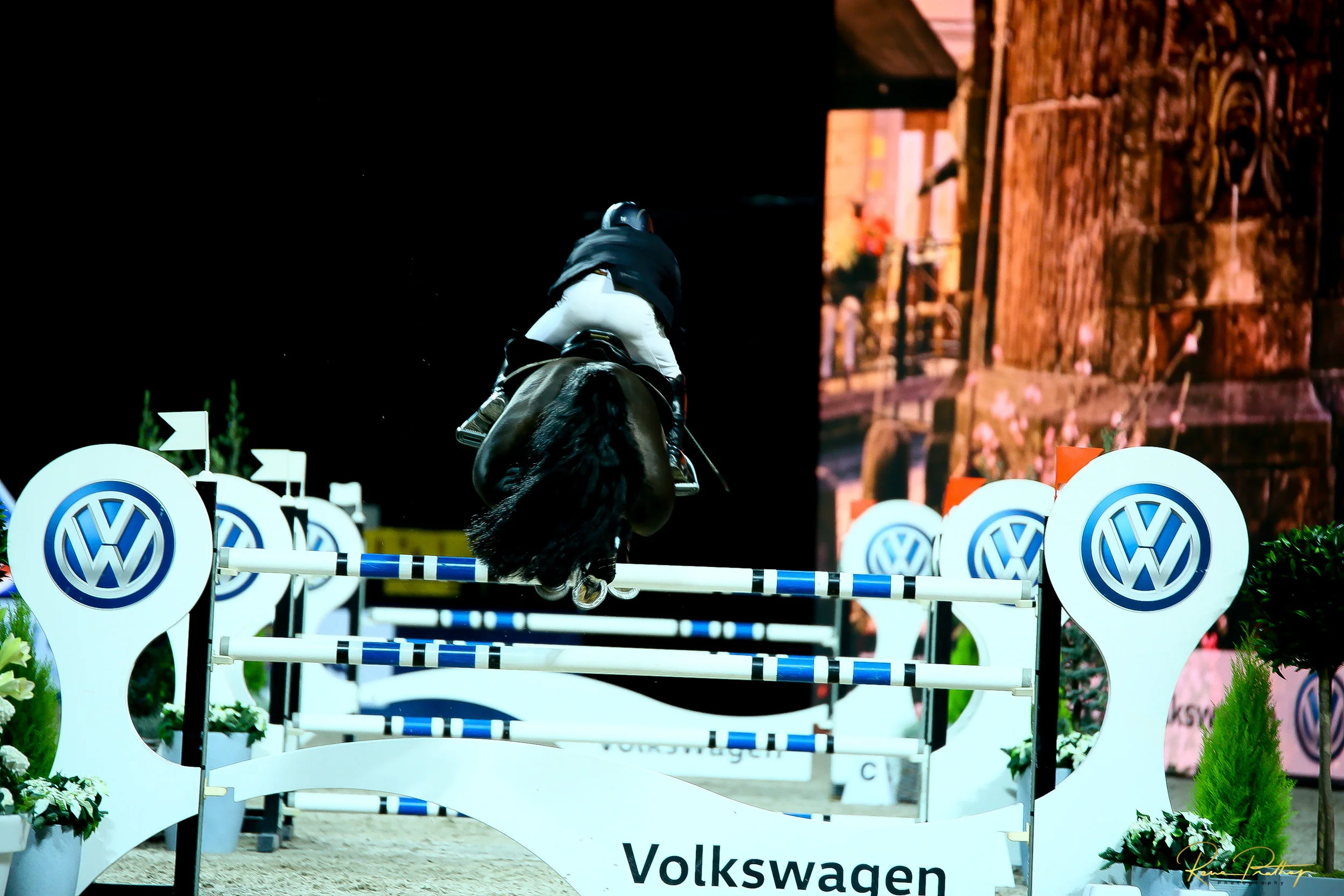 69.SWEDEN HORSE SHOW 2 DEC 17.jpg