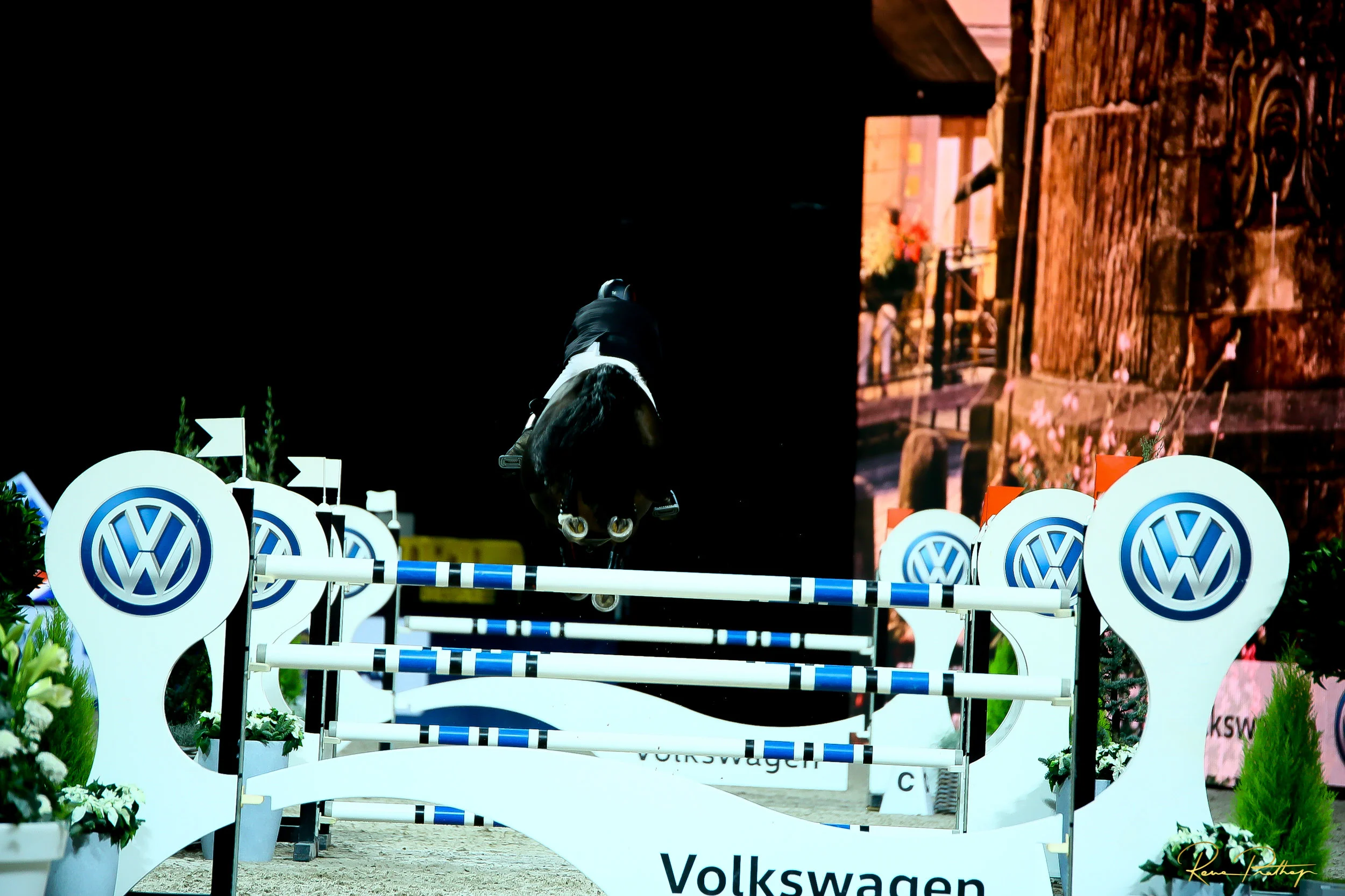 70.SWEDEN HORSE SHOW 2 DEC 17.jpg