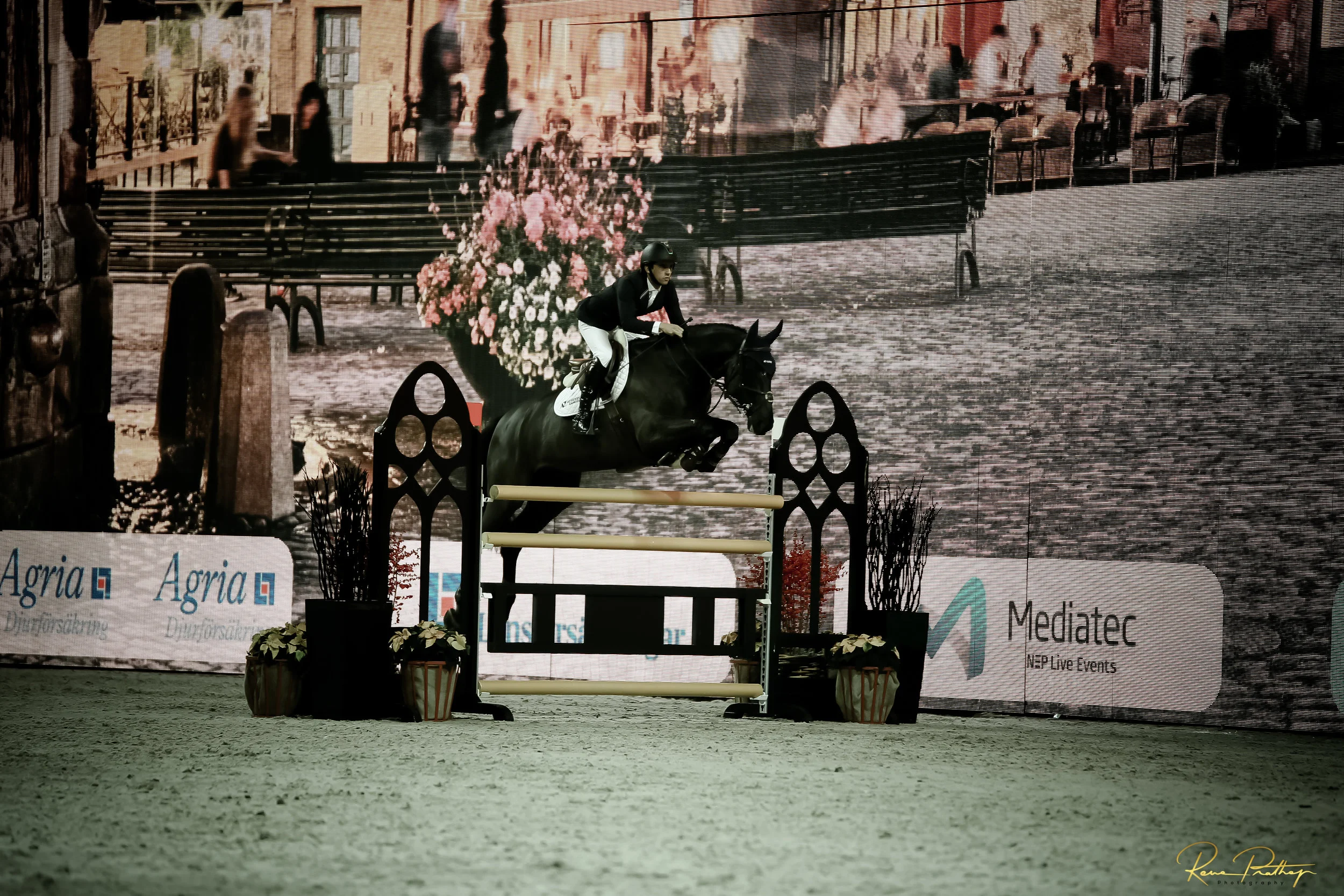 75.SWEDEN HORSE SHOW 2 DEC 17.jpg