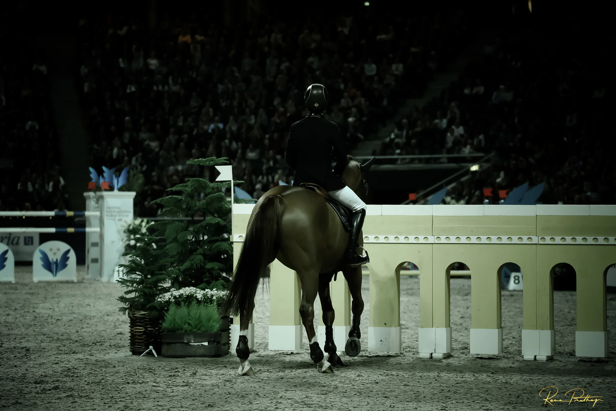 81.SWEDEN HORSE SHOW 2 DEC 17.jpg