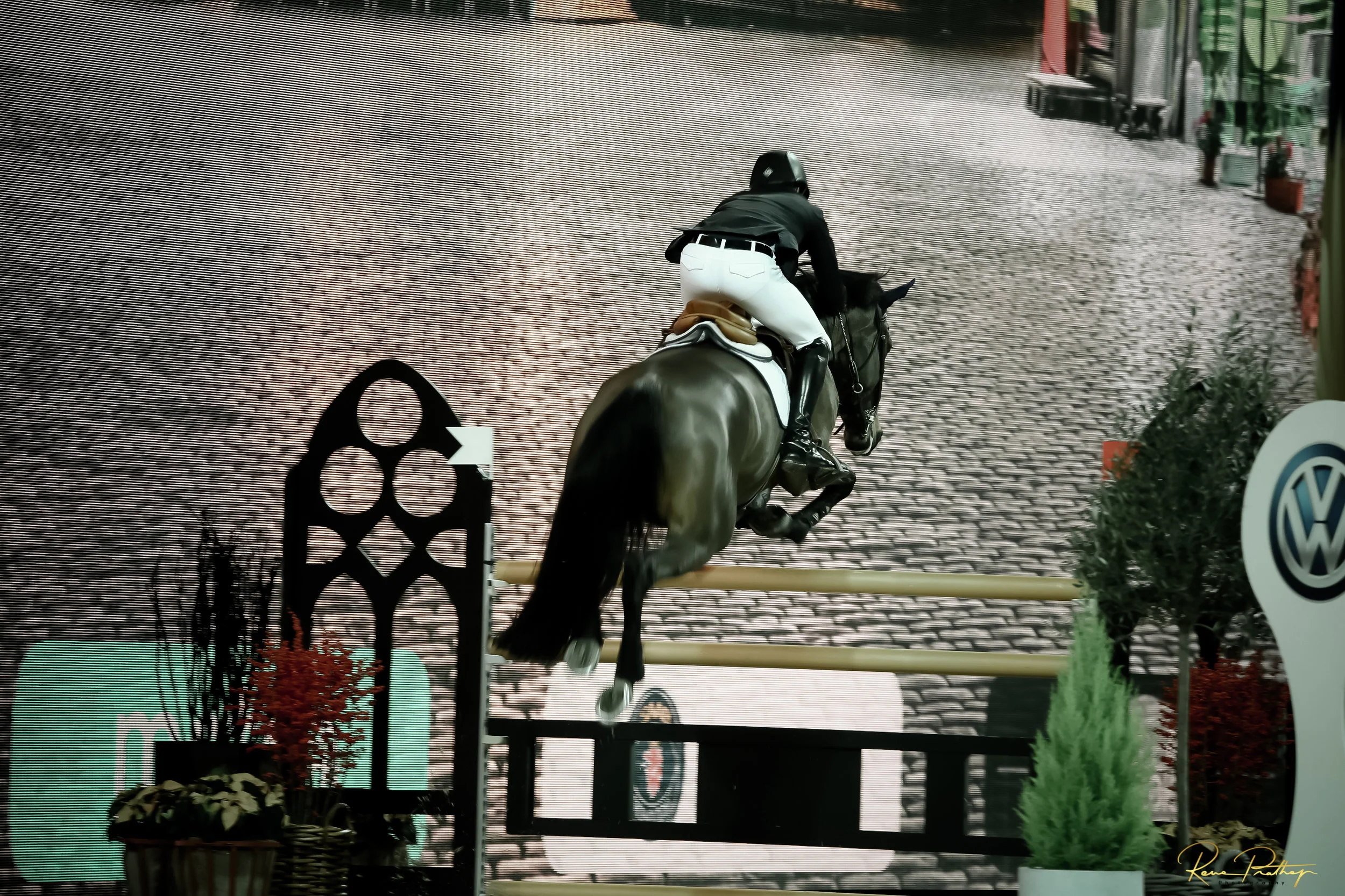 85.SWEDEN HORSE SHOW 2 DEC 17.jpg