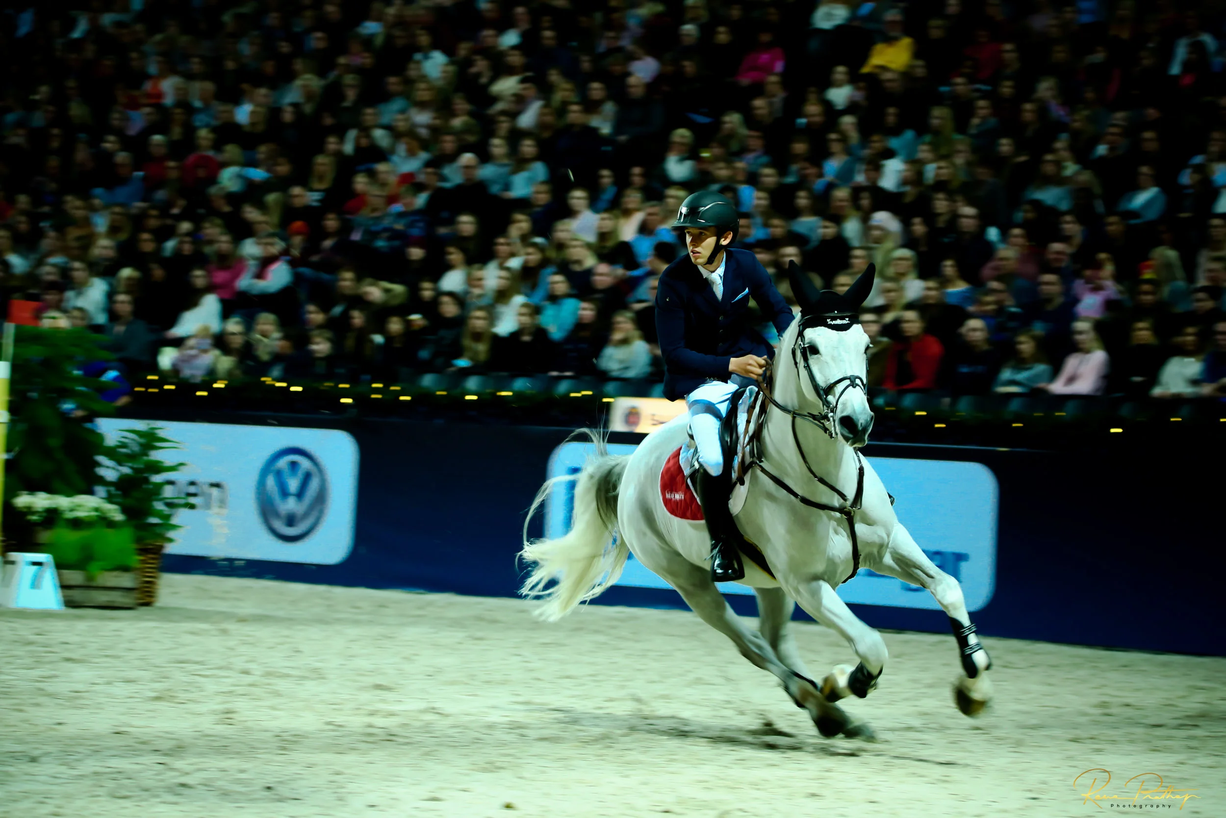 87.SWEDEN HORSE SHOW 2 DEC 17.jpg