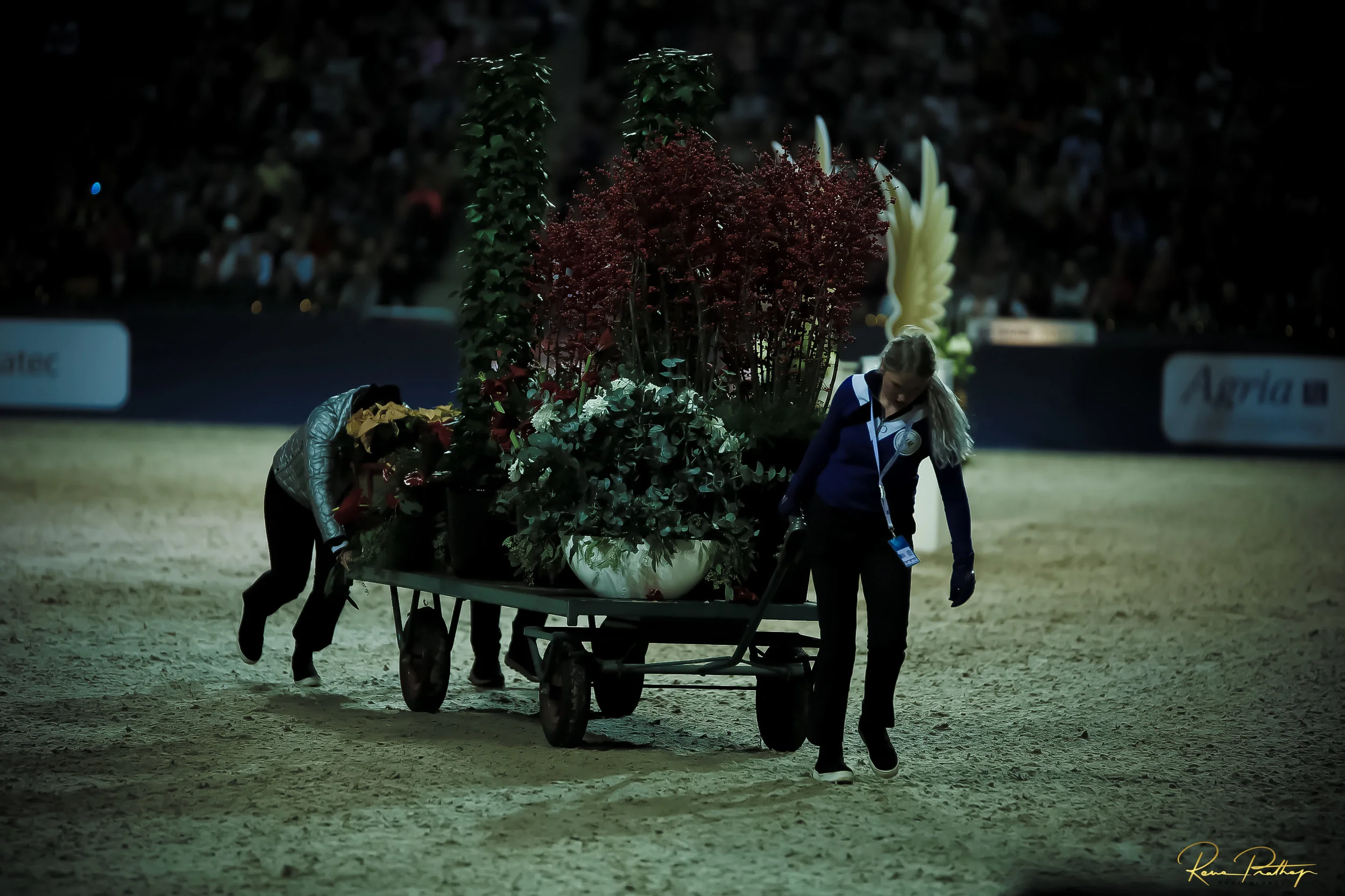 88.SWEDEN HORSE SHOW 2 DEC 17.jpg