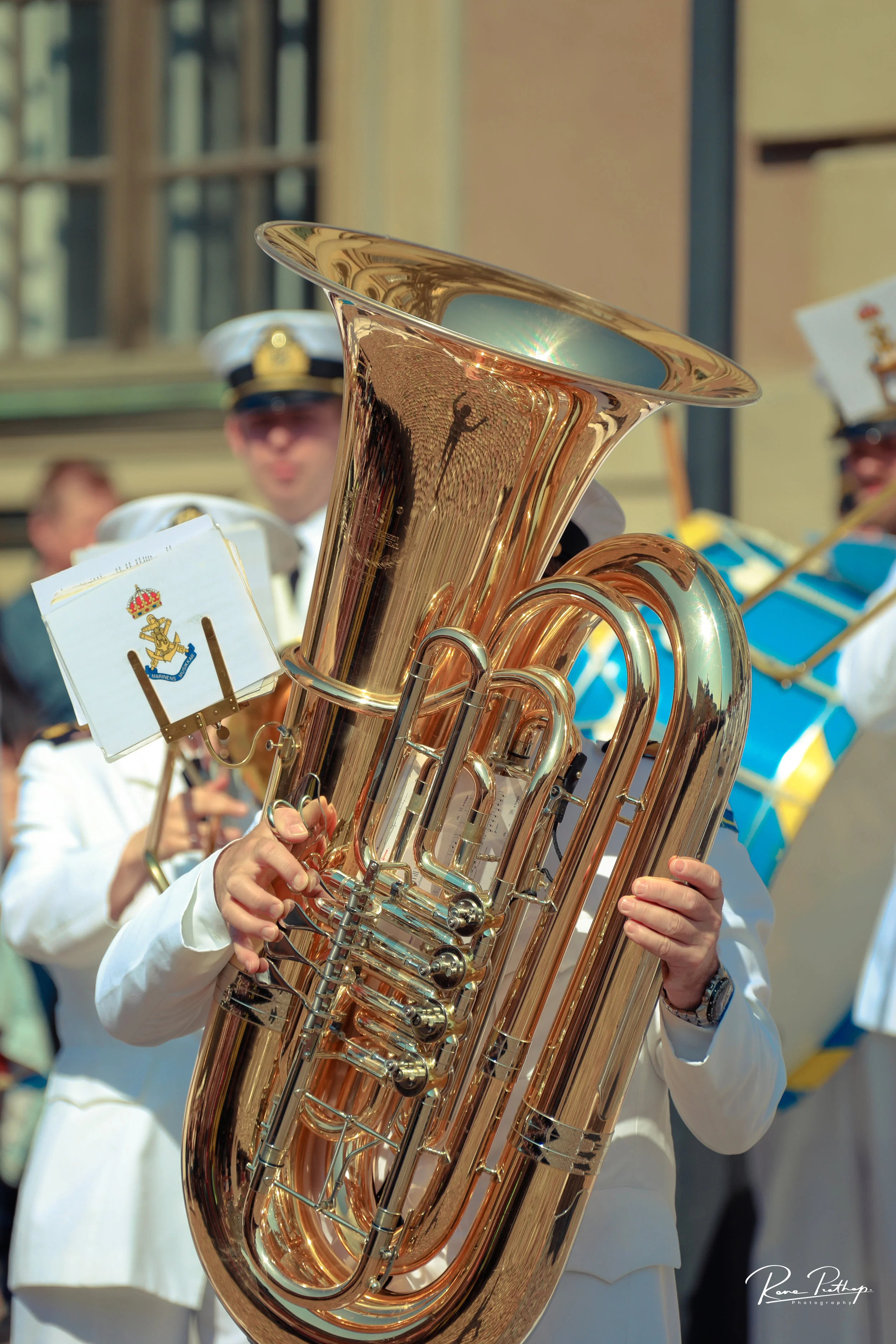 28.Sweden National Day 6 June 19.jpg
