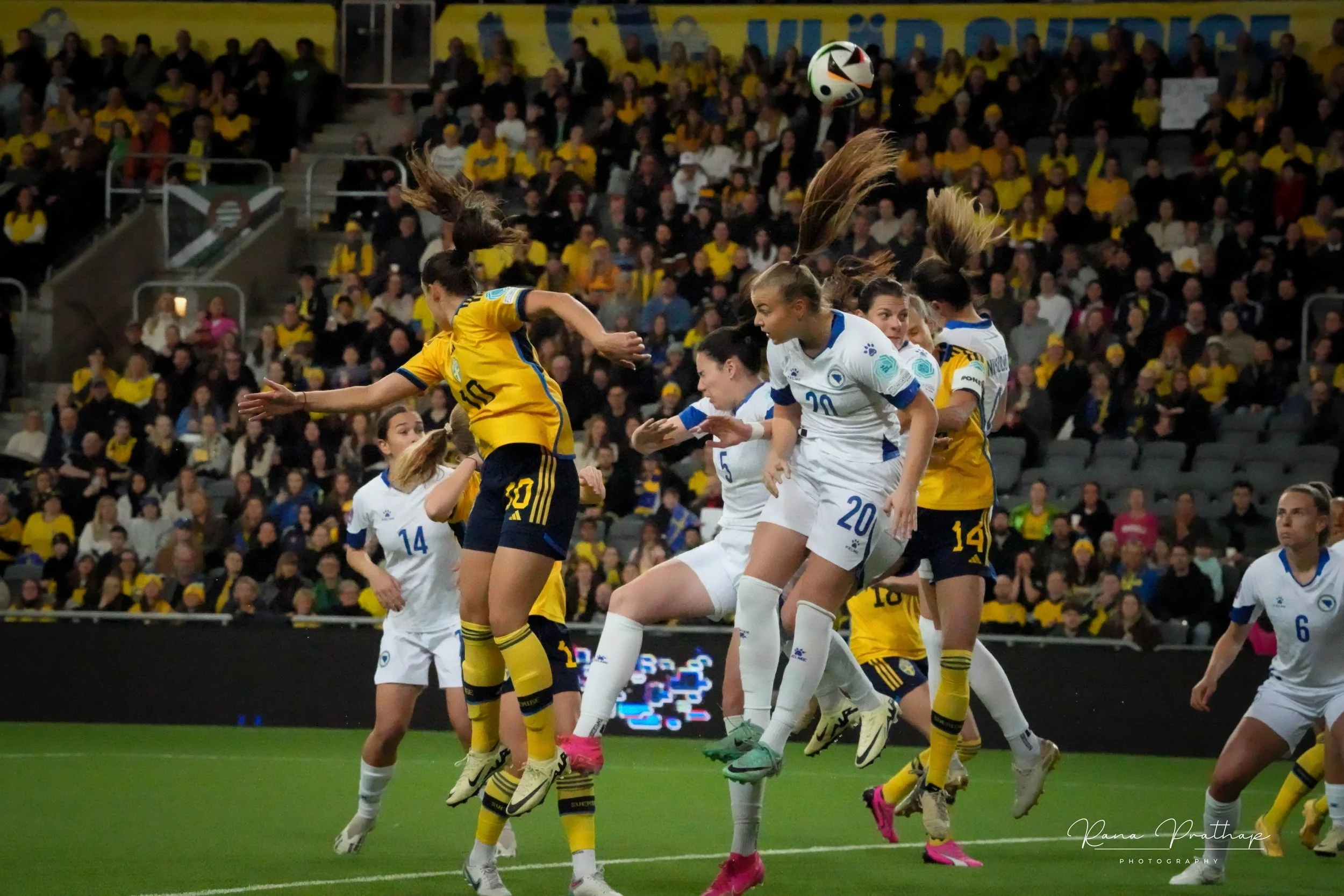 24.Sweden Bosnia 28 Feb 24-min.jpg