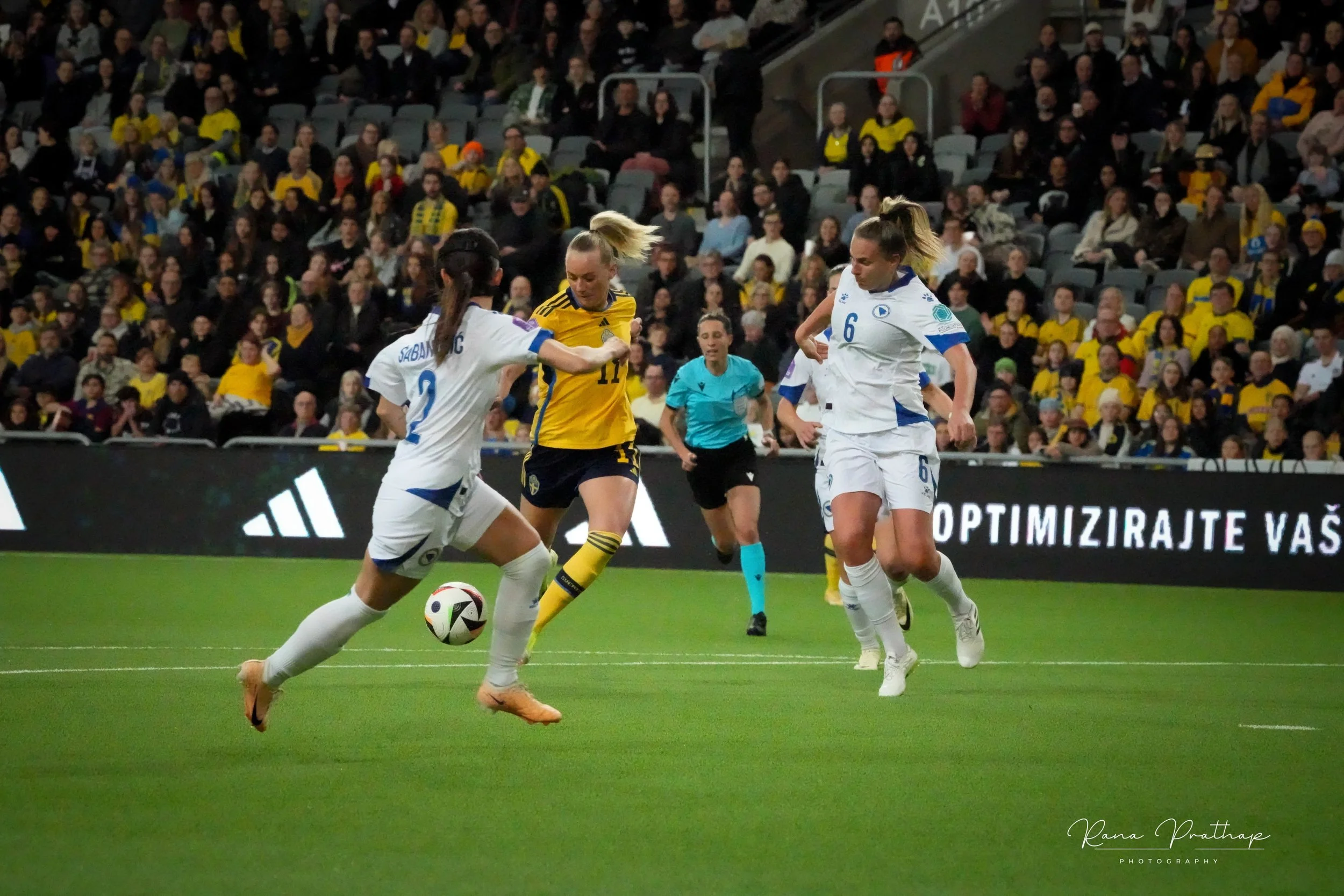 48.Sweden Bosnia 28 Feb 24-min.jpg