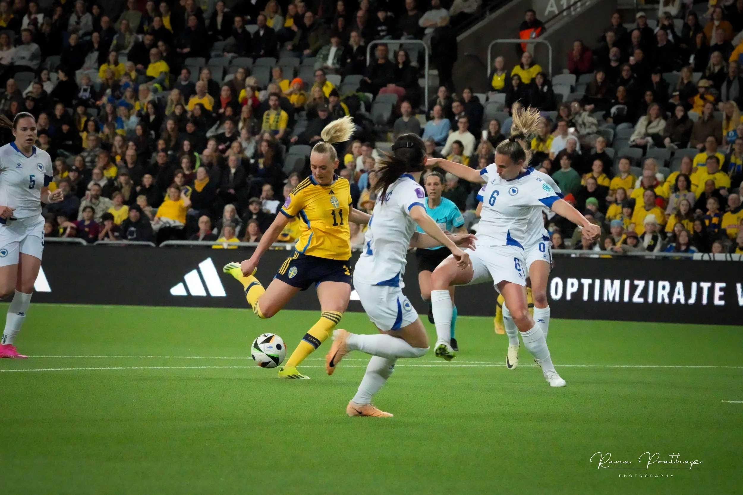 49.Sweden Bosnia 28 Feb 24-min.jpg