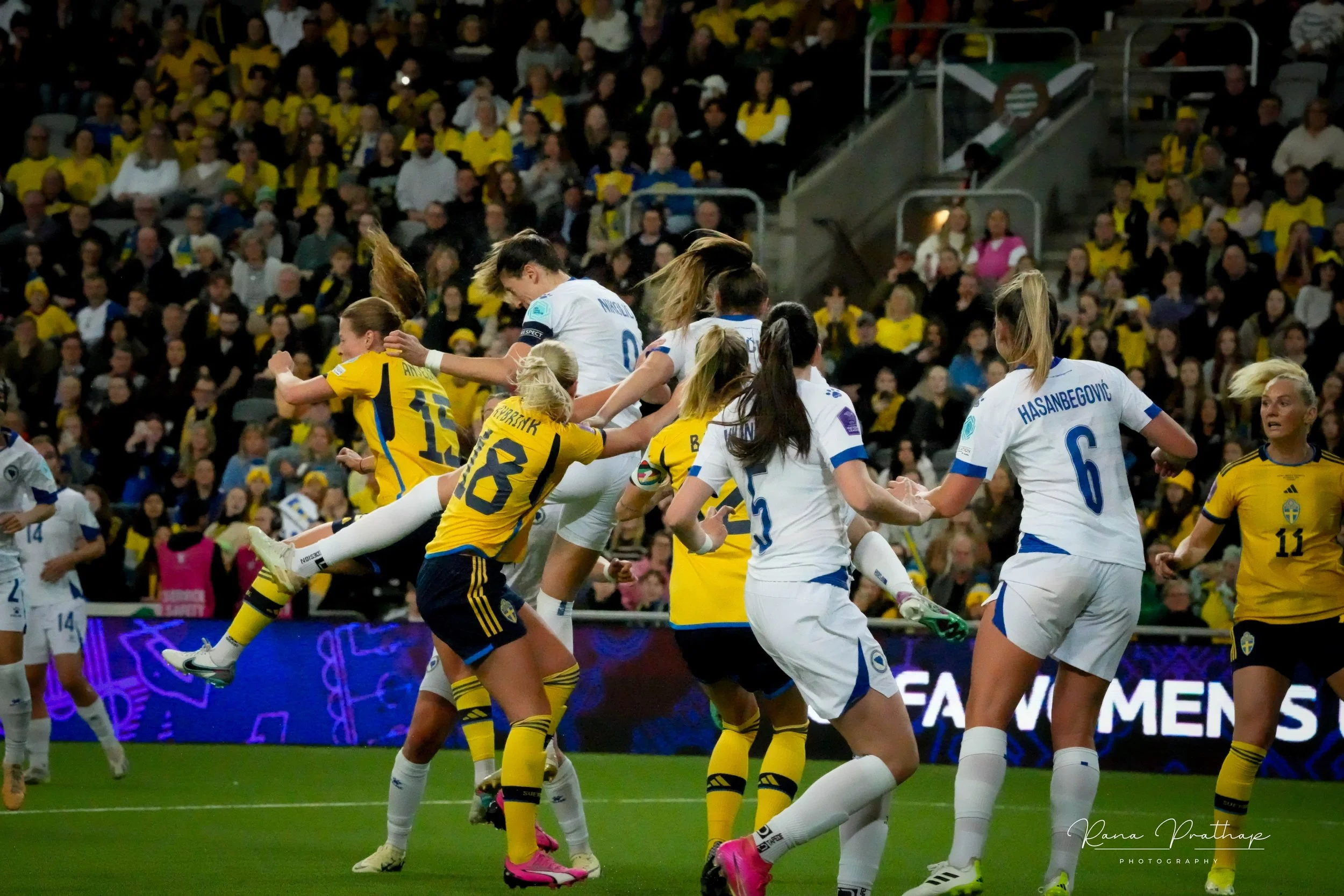 62.Sweden Bosnia 28 Feb 24-min.jpg