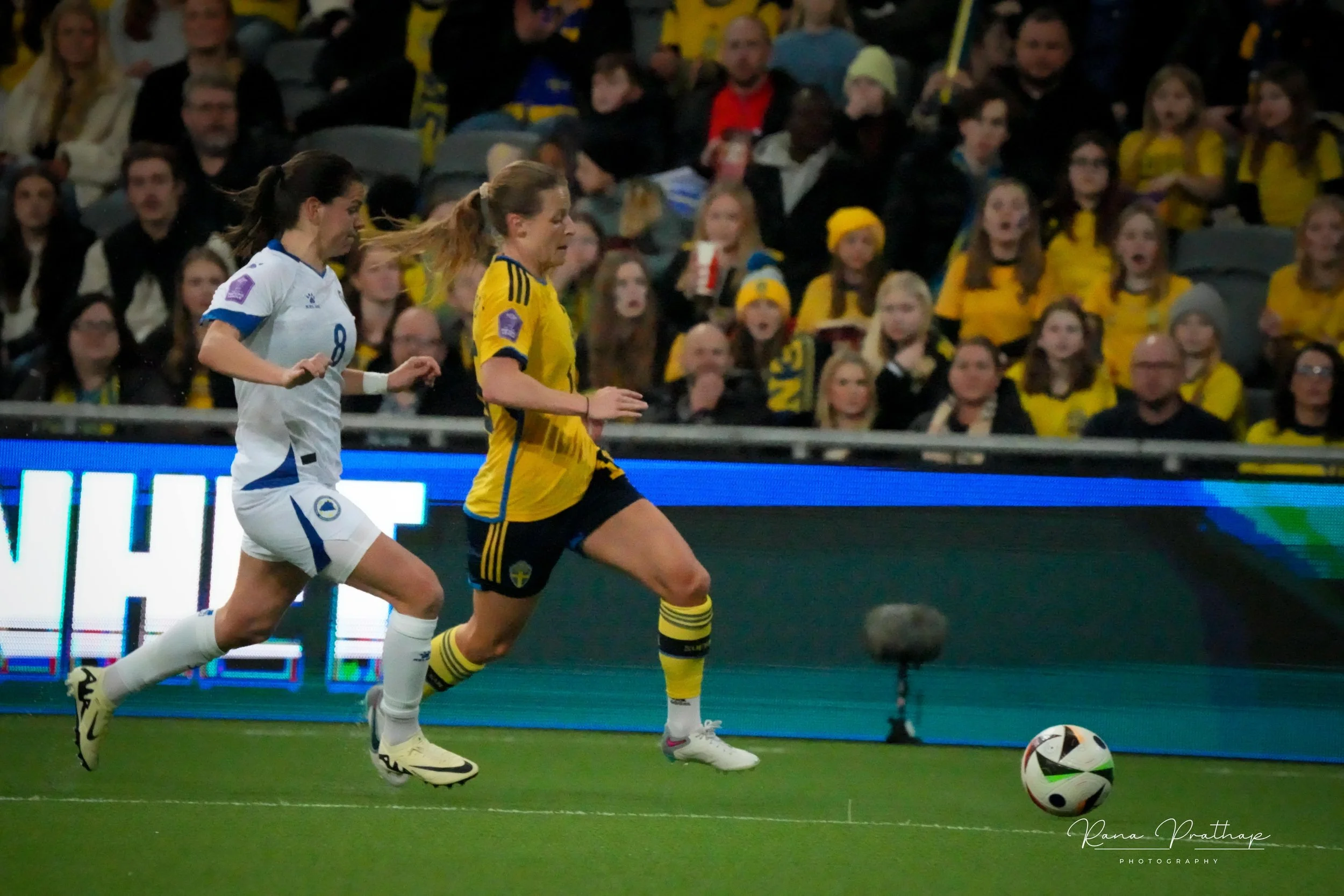 64.Sweden Bosnia 28 Feb 24-min.jpg