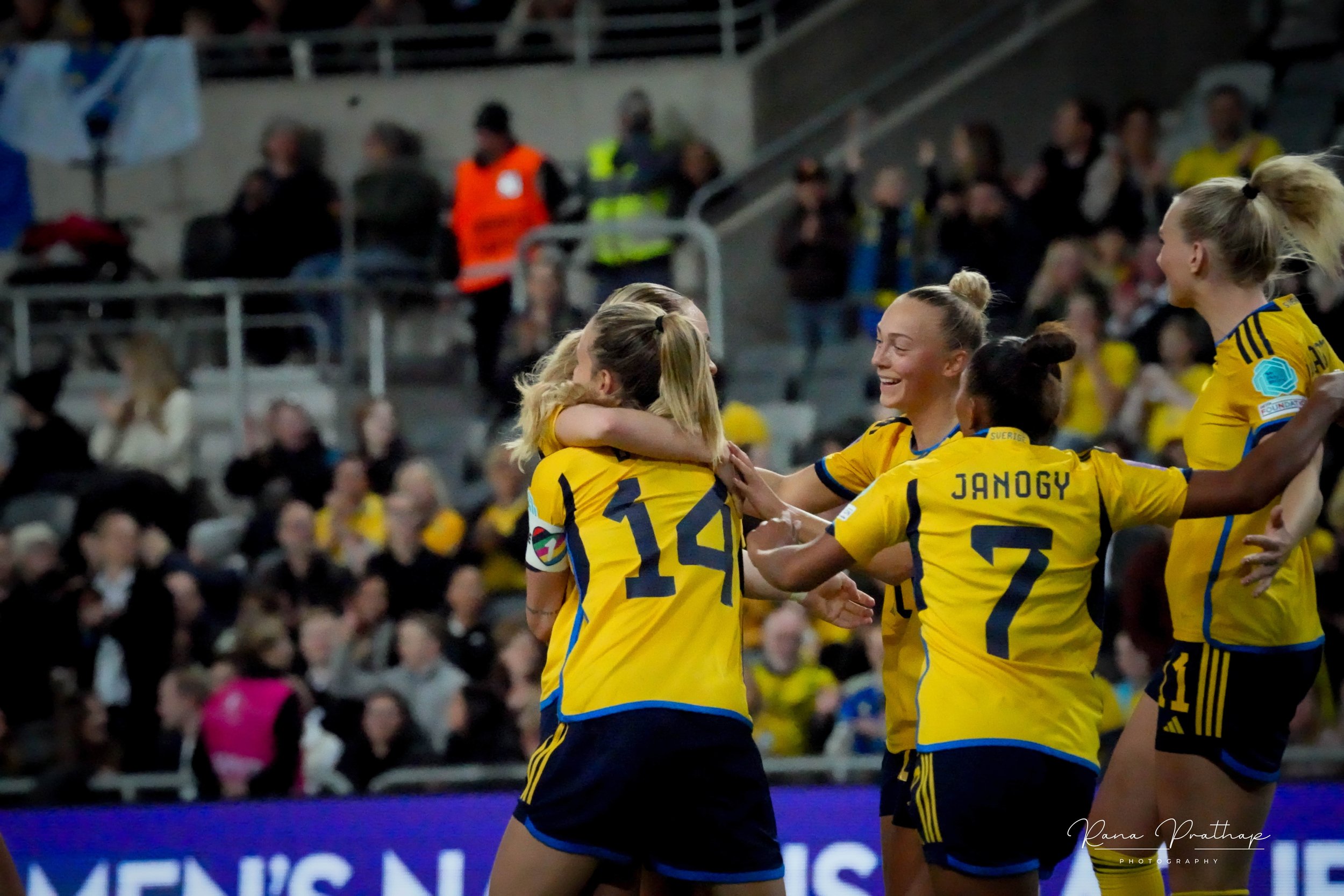 65.Sweden Bosnia 28 Feb 24-min.jpg