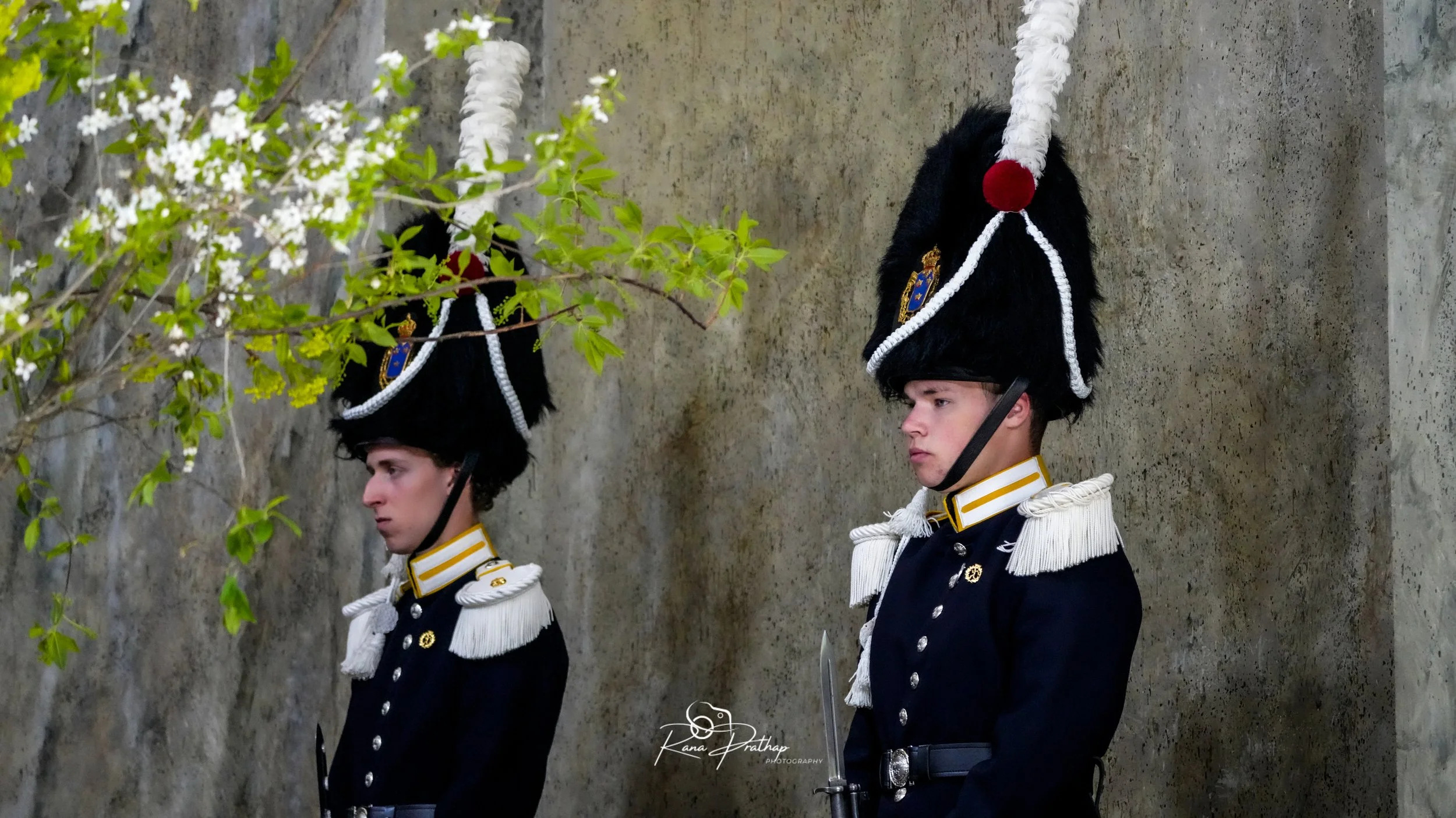 10.King 80th Birthday 30 April 26.jpg